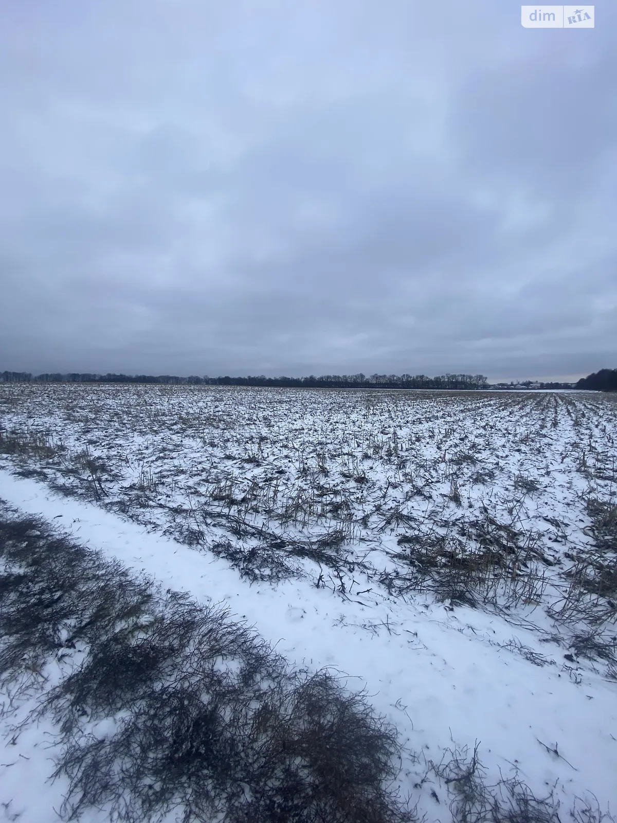 Продается земельный участок 1.3582 соток в Винницкой области - фото 3
