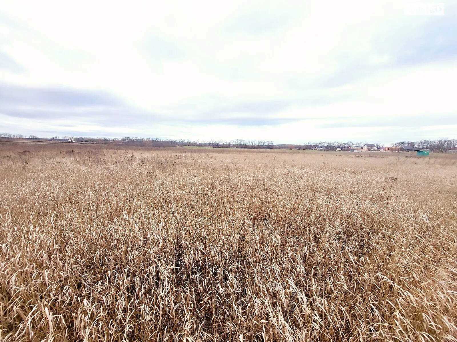Продається земельна ділянка 8.5 соток у Вінницькій області - фото 3