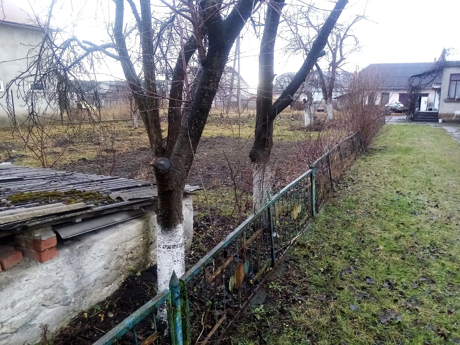 Продается земельный участок 6.46 соток в Тернопольской области - фото 3