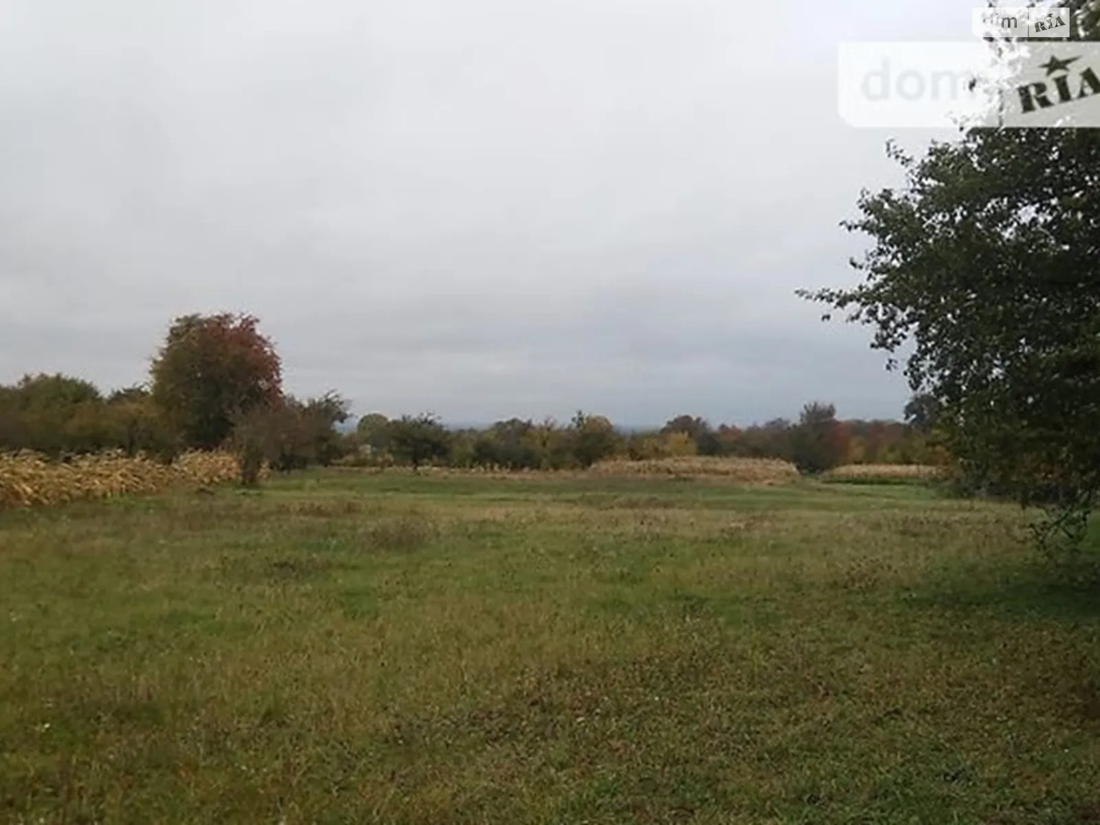 Продается земельный участок 31 соток в Винницкой области - фото 2