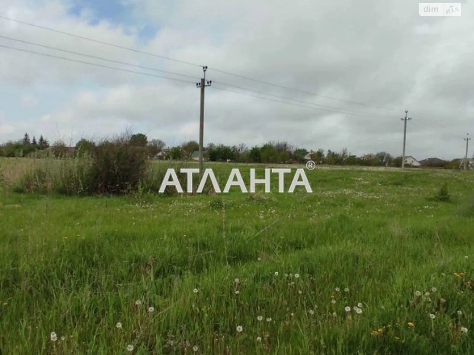 Продается земельный участок 360 соток в Одесской области - фото 2