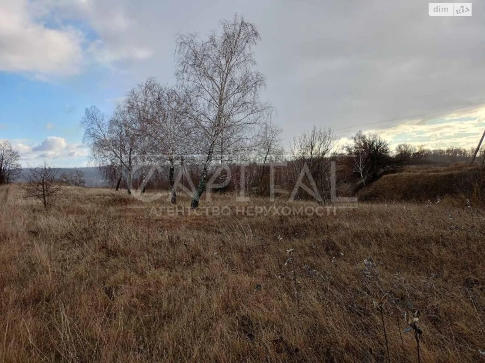 Продається земельна ділянка 60 соток у Київській області - фото 3