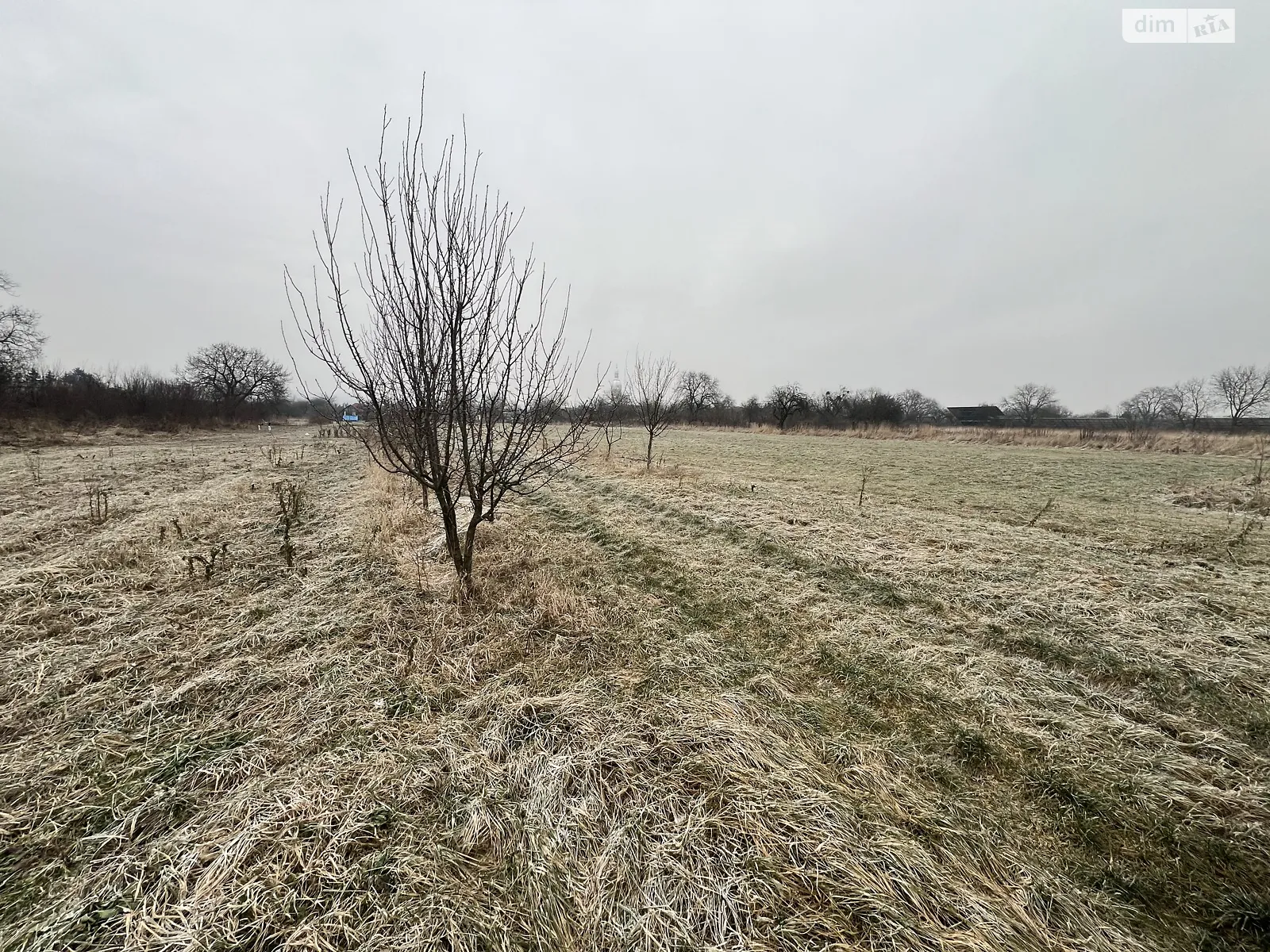 Продается земельный участок 23 соток в Закарпатской области - фото 3