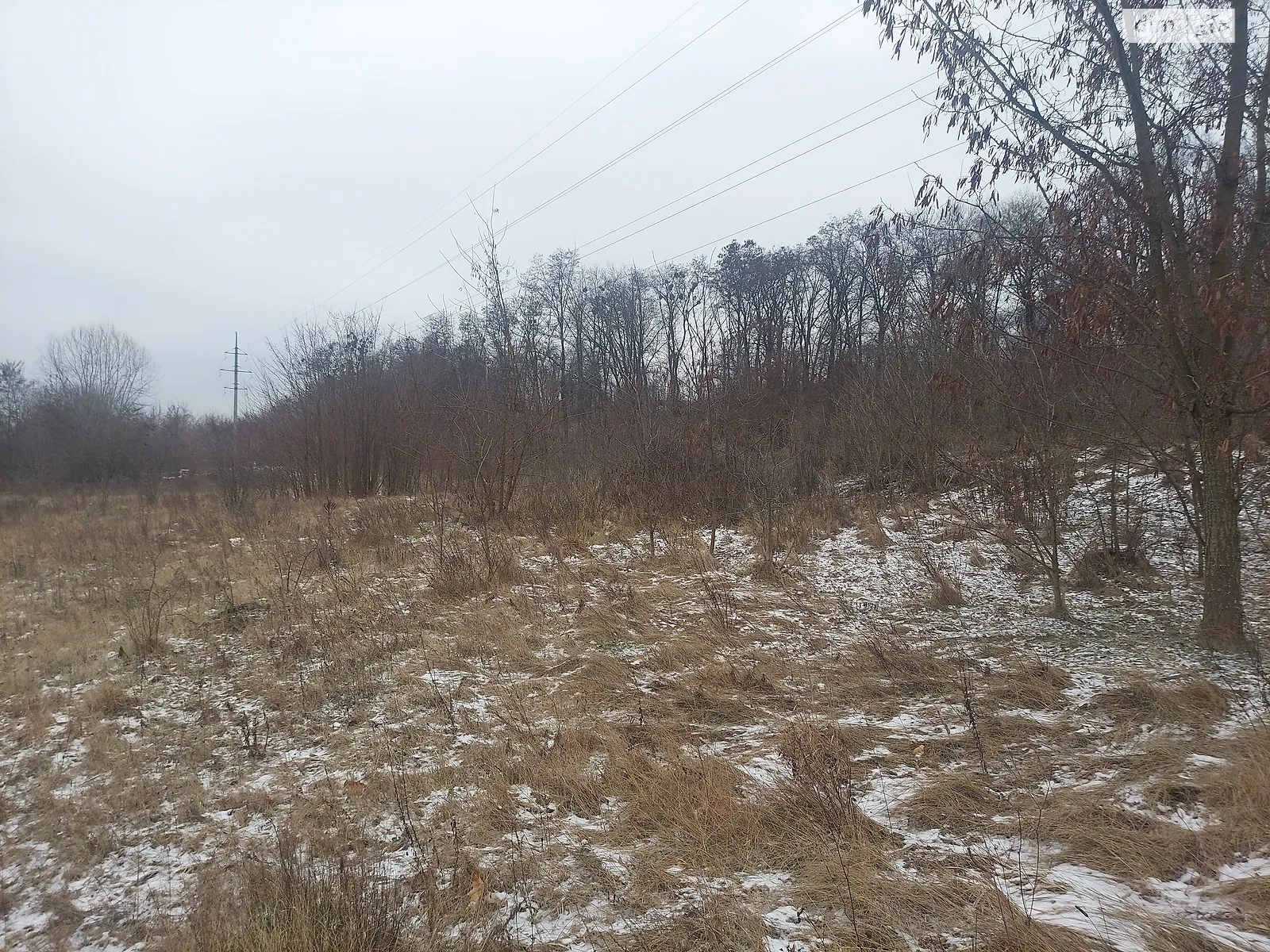 Продается земельный участок 12 соток в Житомирской области - фото 3