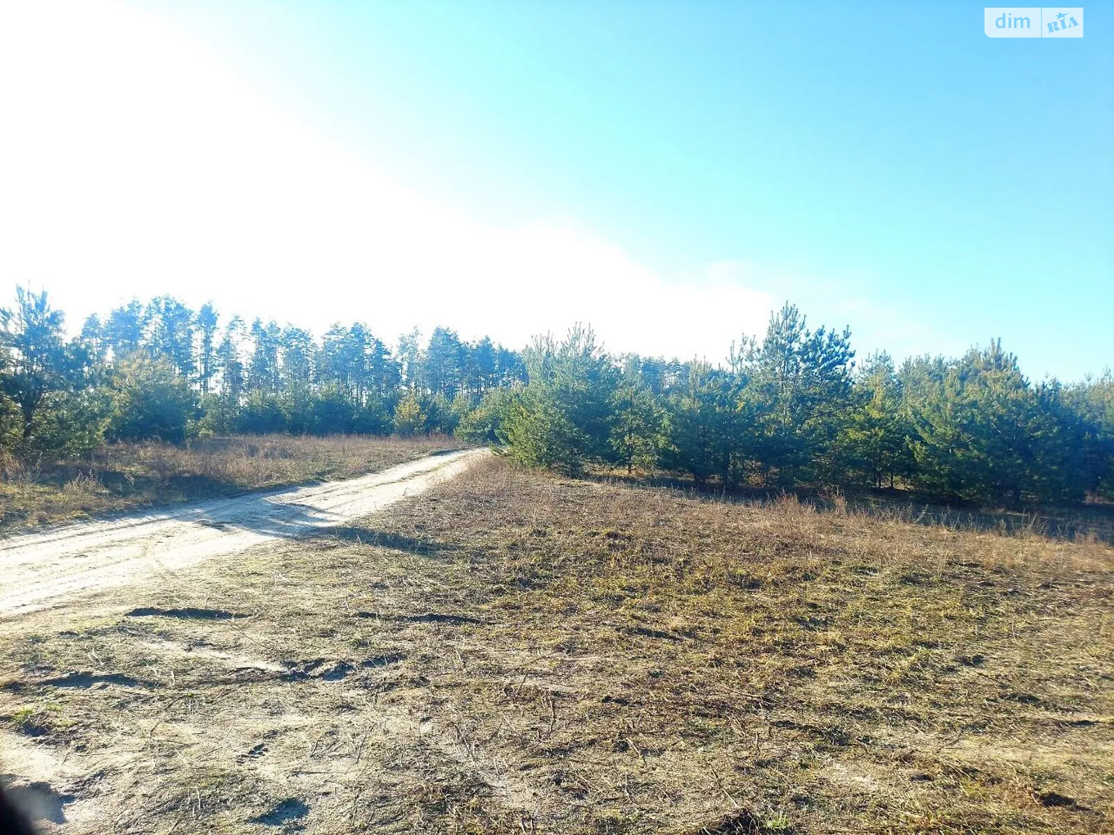 Продается земельный участок 244 соток в Житомирской области - фото 2