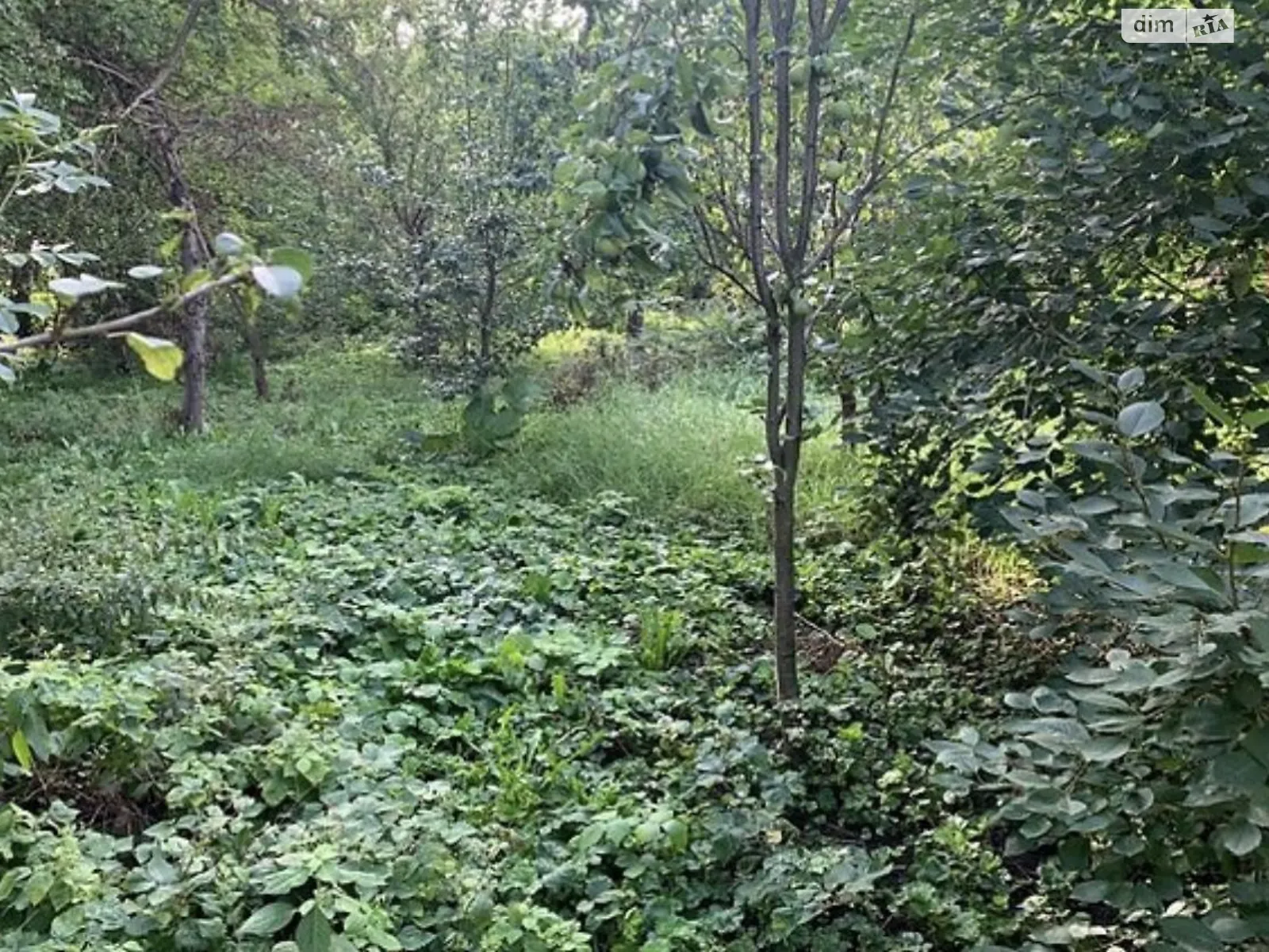 Продается земельный участок 17 соток в Тернопольской области, цена: 150000 $ - фото 1
