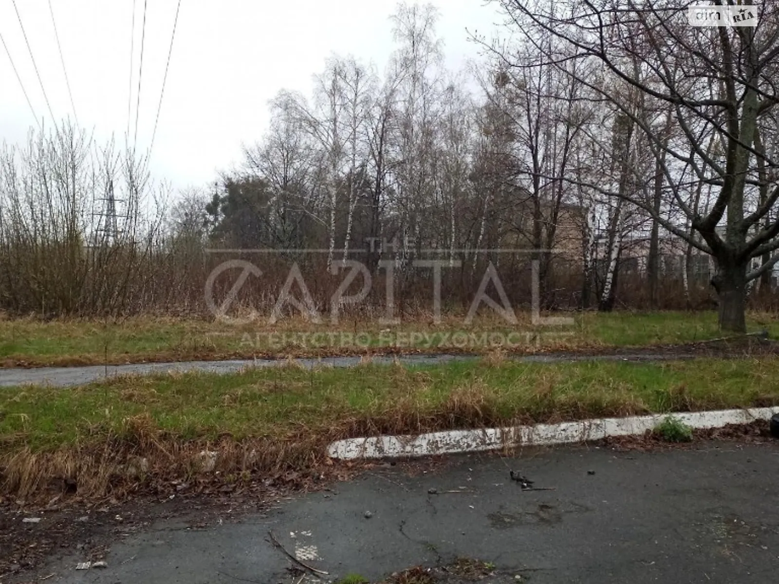 Продается земельный участок 65 соток в Киевской области - фото 2
