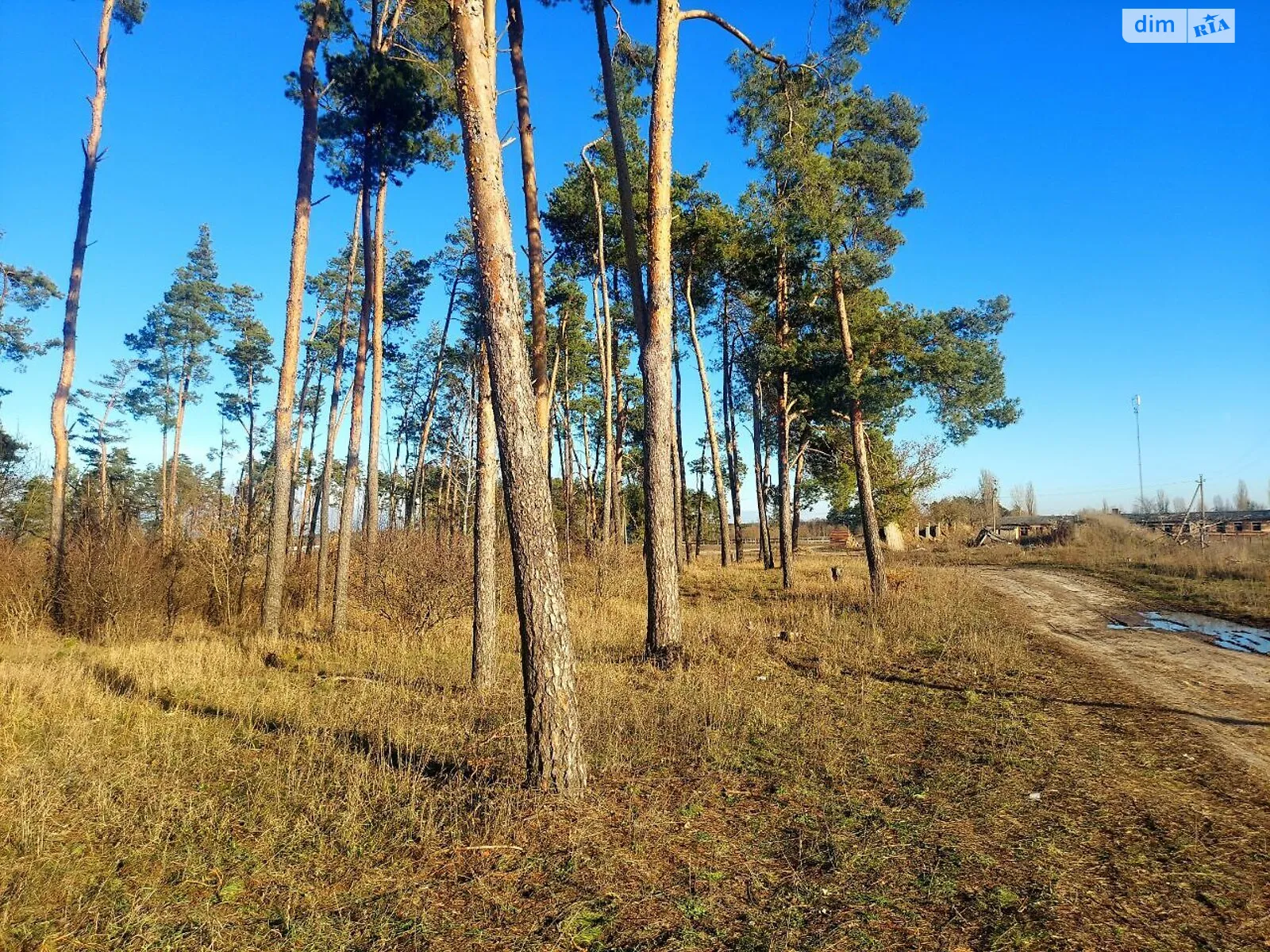 Продается земельный участок 364 соток в Житомирской области, цена: 109000 $