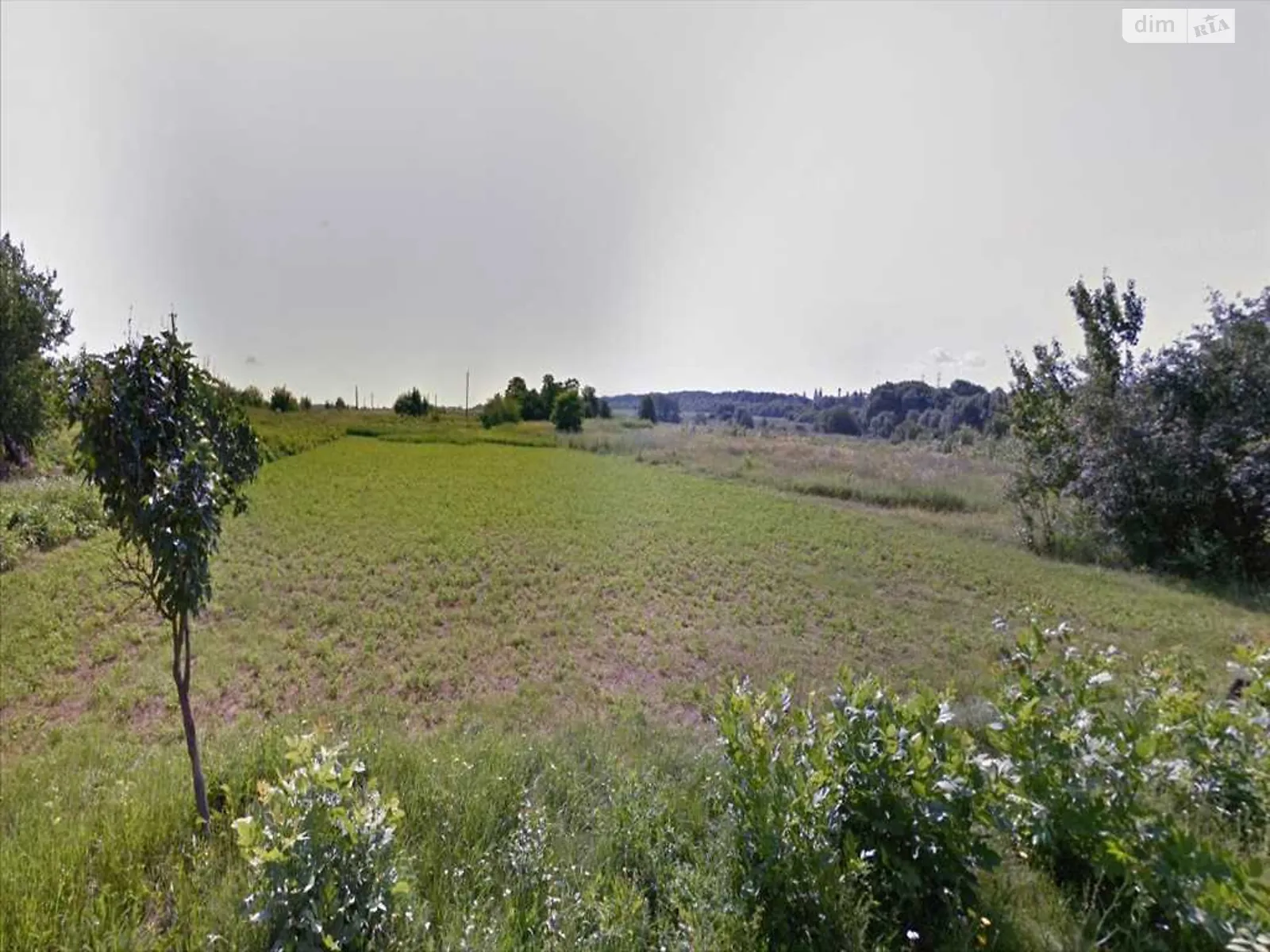 Продается земельный участок 15 соток в Полтавской области, цена: 5000 $