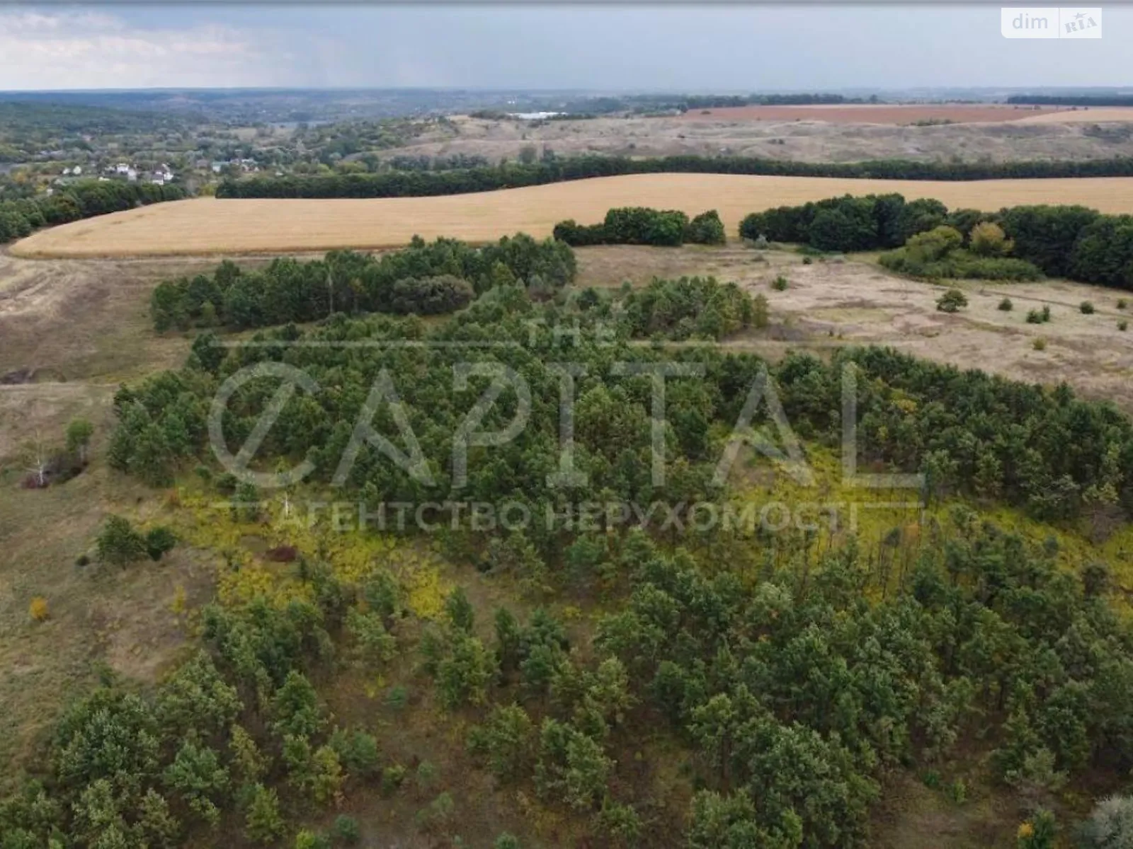 Продається земельна ділянка 2000 соток у Київській області - фото 3