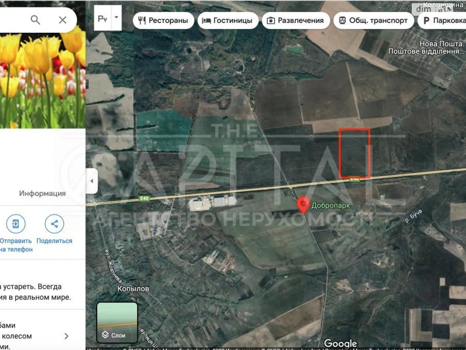 Продається земельна ділянка 1660 соток у Київській області - фото 2