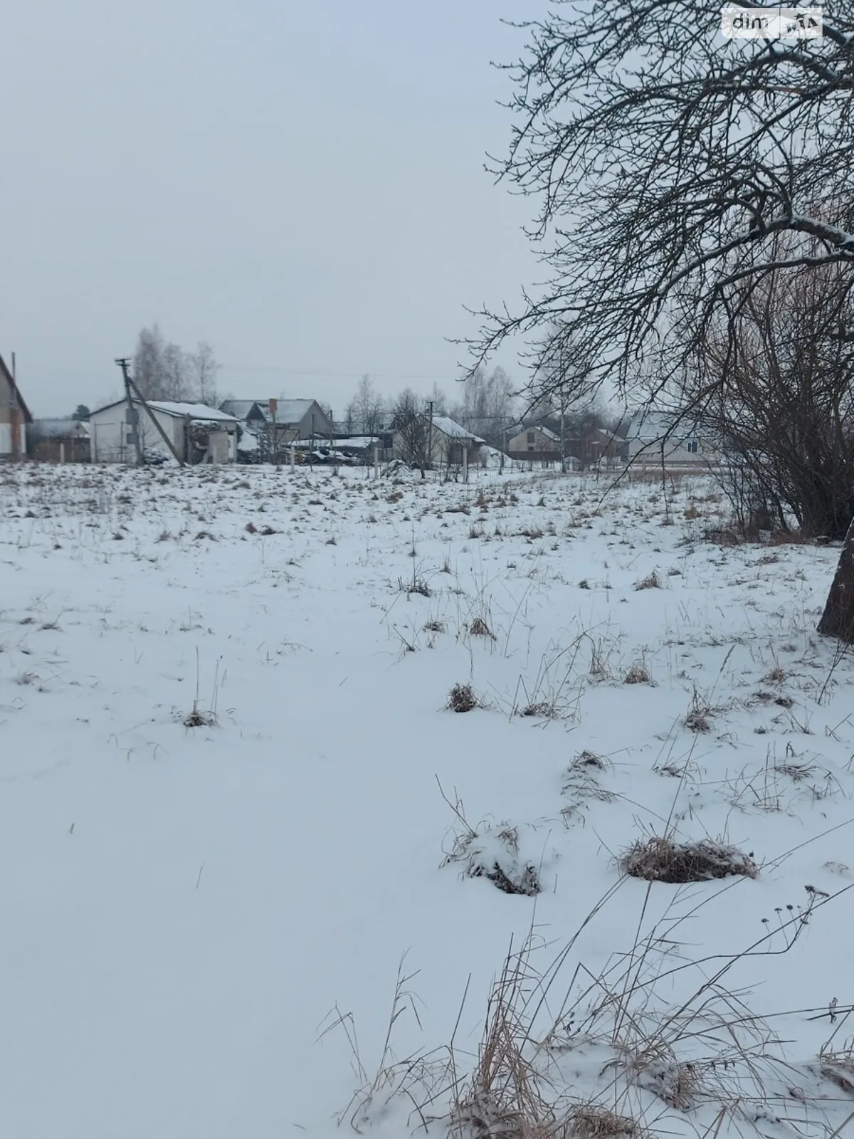 Продается земельный участок 35.4 соток в Житомирской области - фото 2