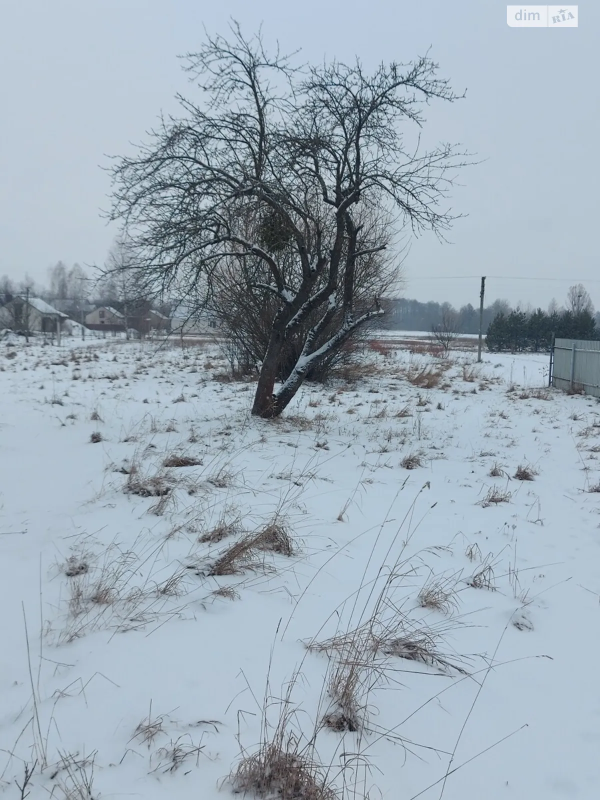 Продается земельный участок 35.4 соток в Житомирской области - фото 3