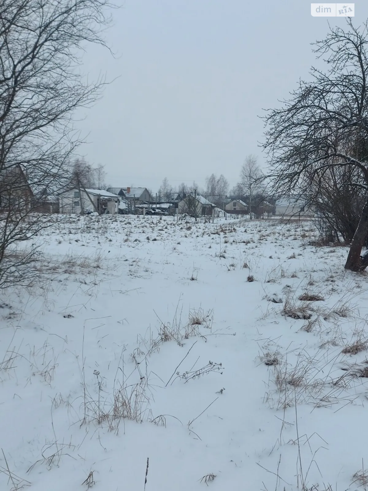 Продається земельна ділянка 35.4 соток у Житомирській області - фото 4