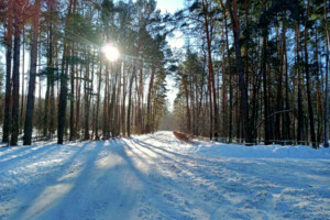 Недвижимость в Варве