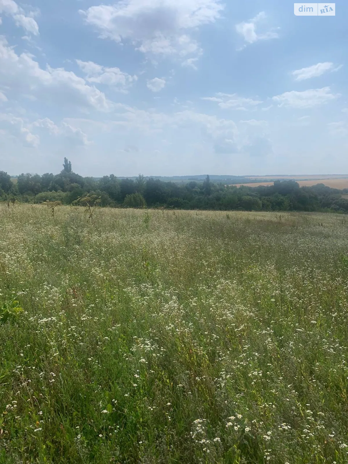 Продается земельный участок 0.0567 соток в Хмельницкой области - фото 2