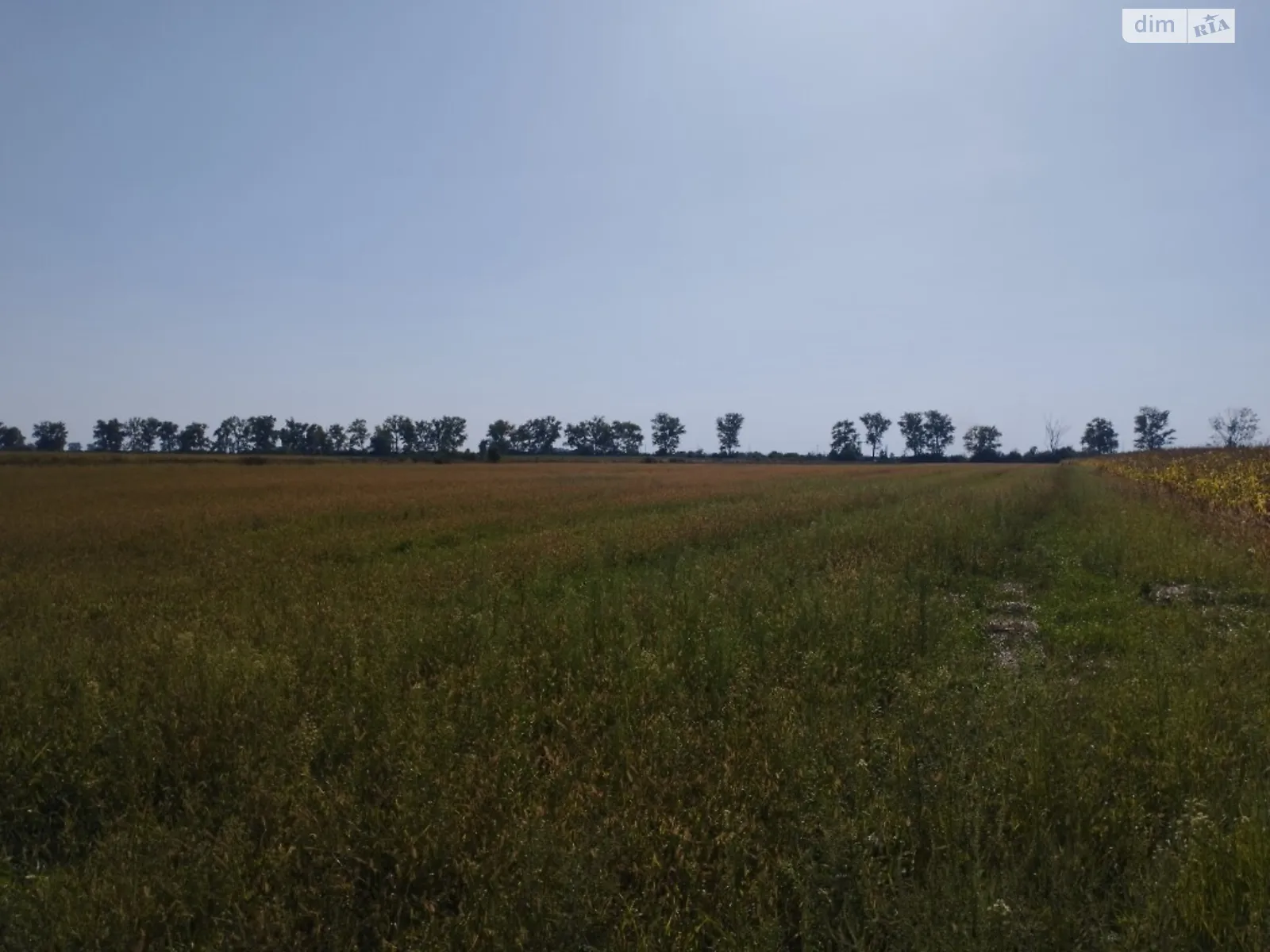 Продается земельный участок 1300 соток в Закарпатской области, цена: 4200 $