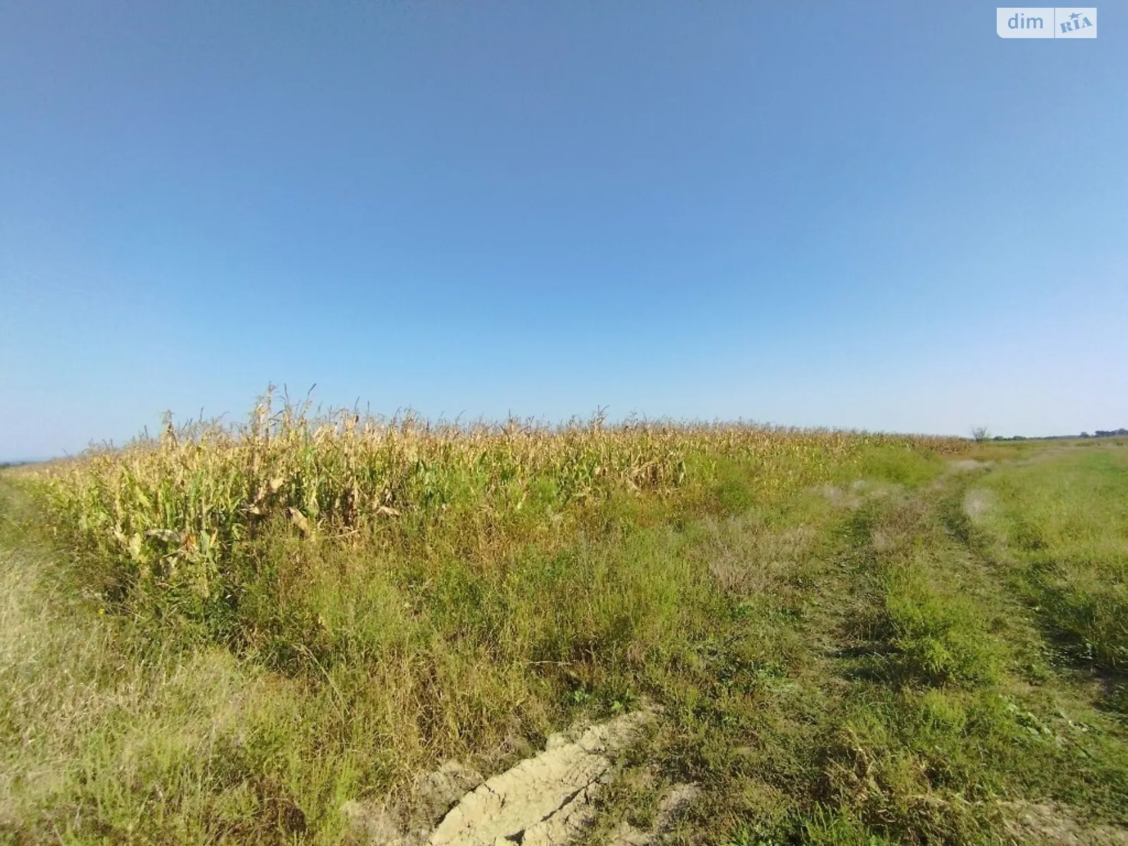 Продается земельный участок 1300 соток в Закарпатской области - фото 3
