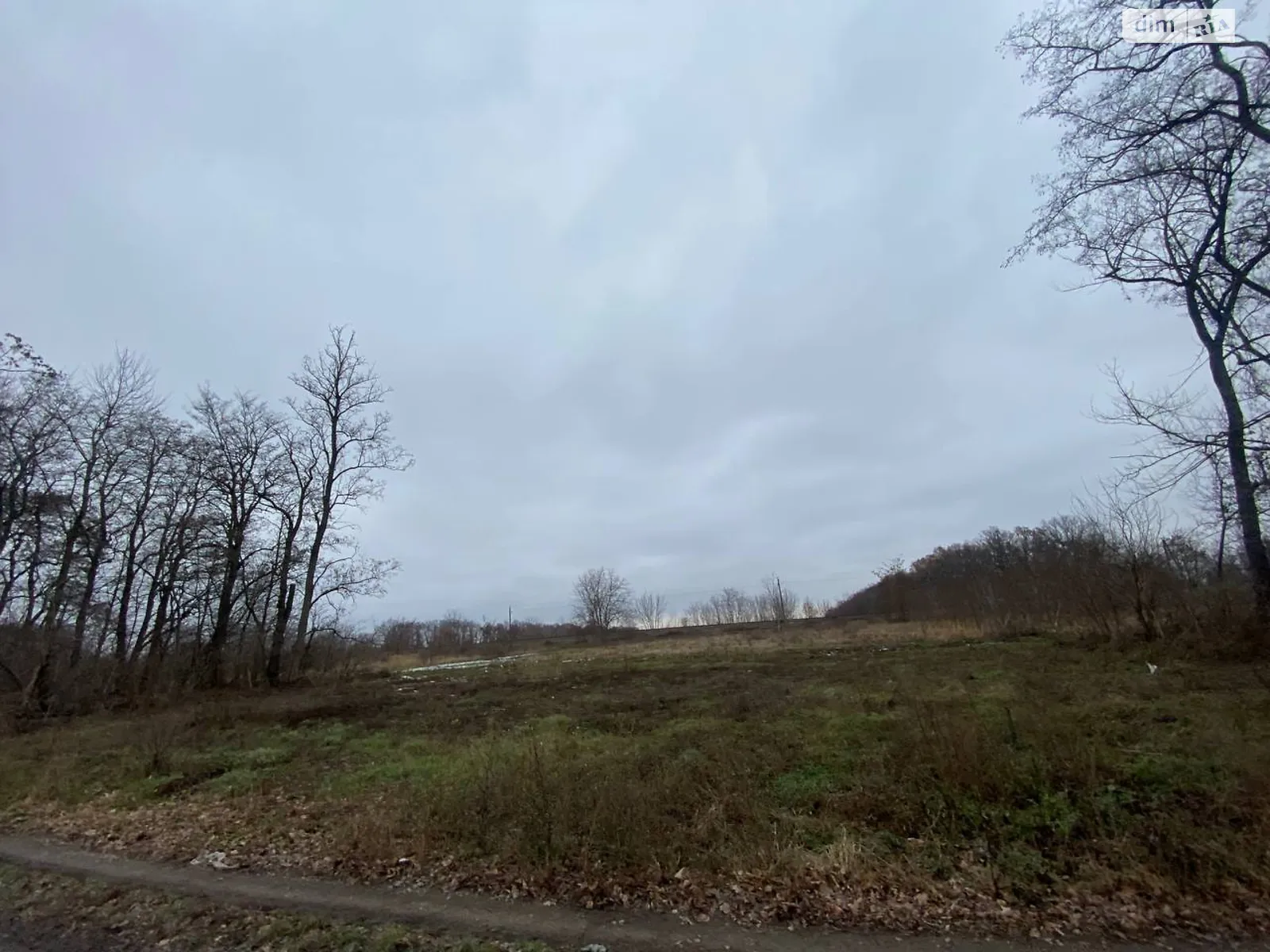 Продается земельный участок 80 соток в Винницкой области - фото 3