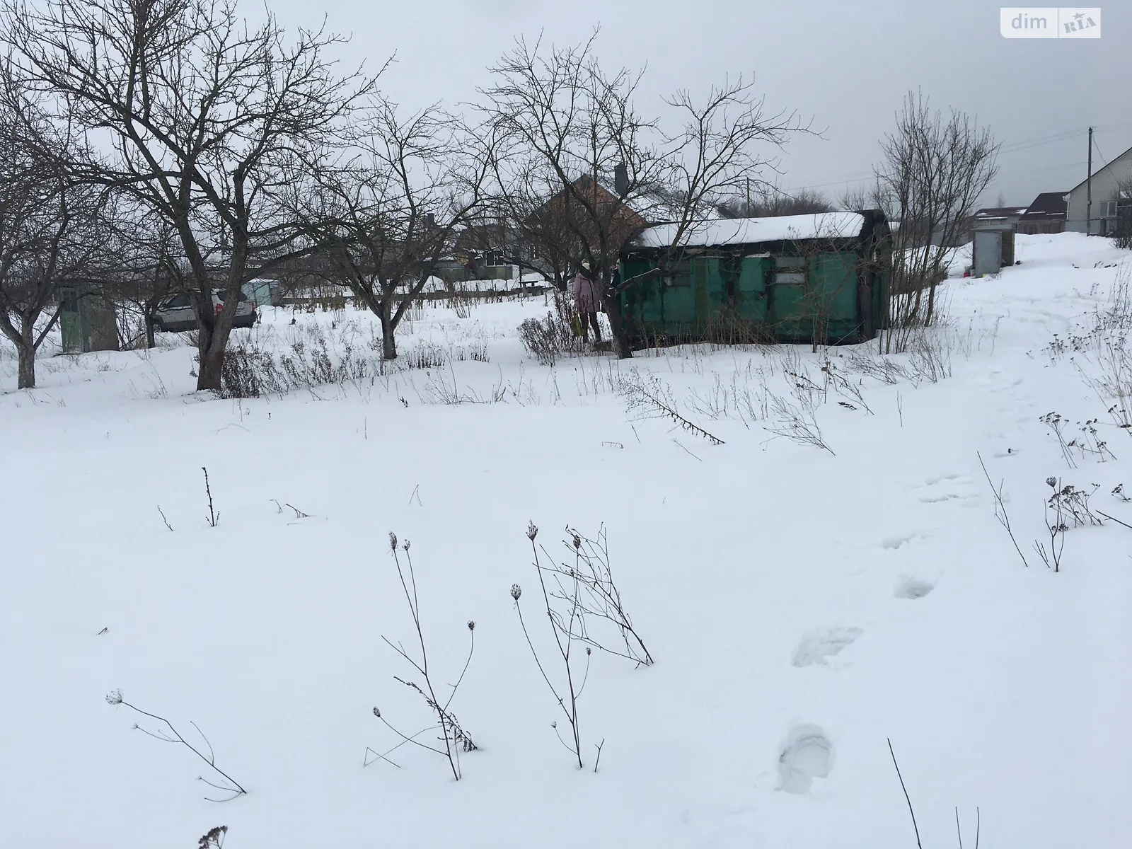 Продается земельный участок 10 соток в Черниговской области - фото 2