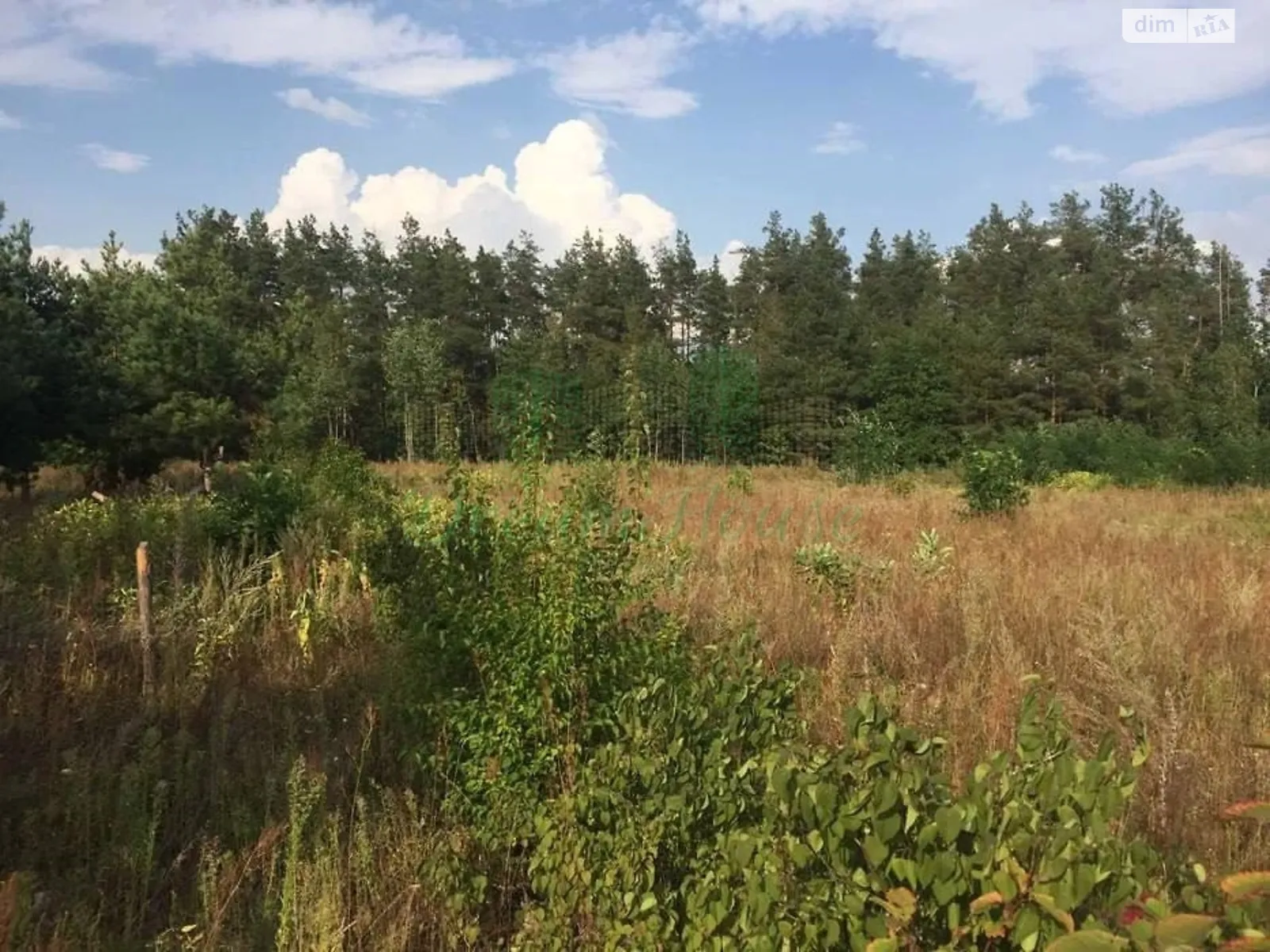 Продается земельный участок 50 соток в Киевской области - фото 2
