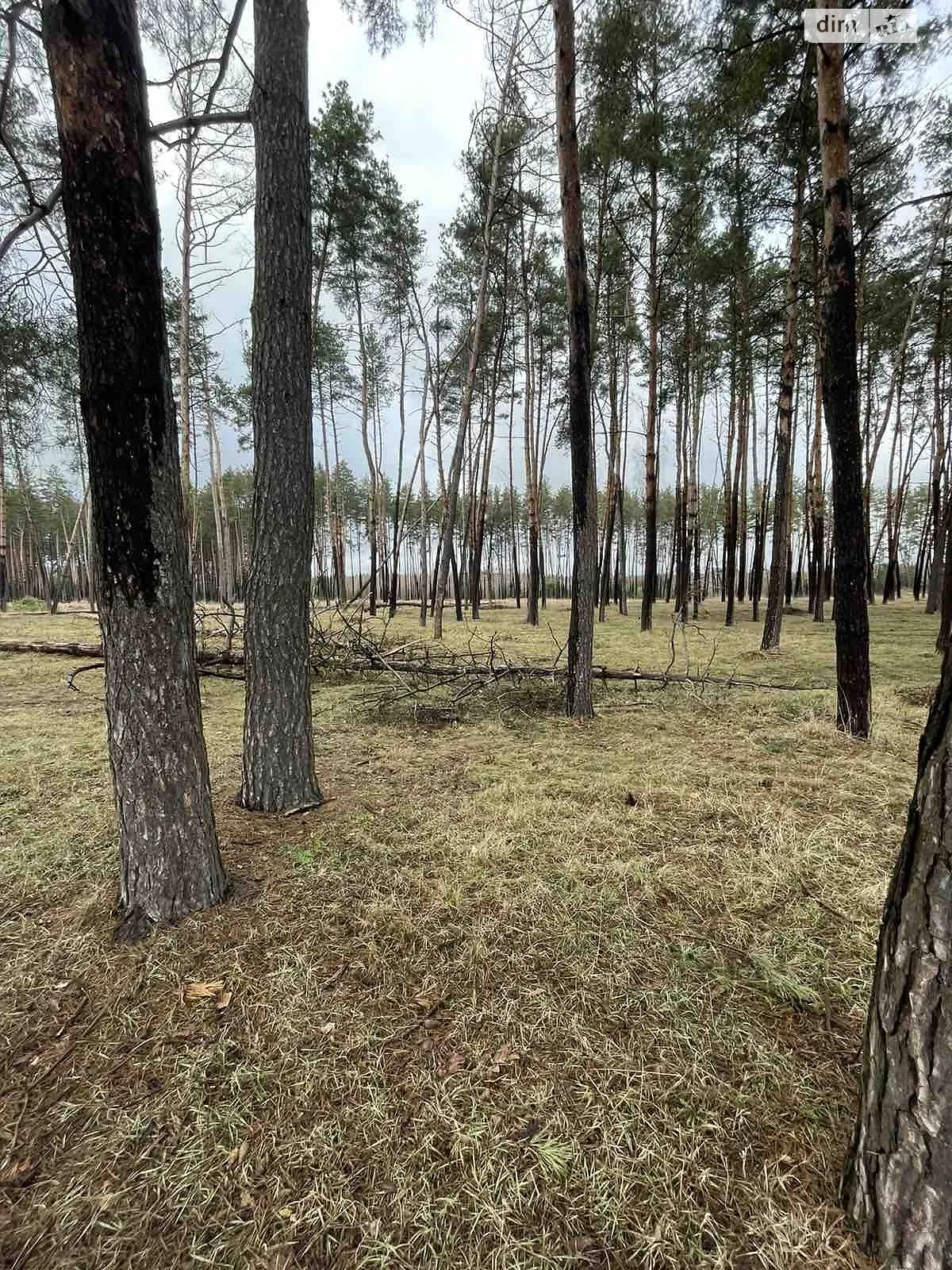 Продается земельный участок 0.3313 соток в Черкасской области - фото 2