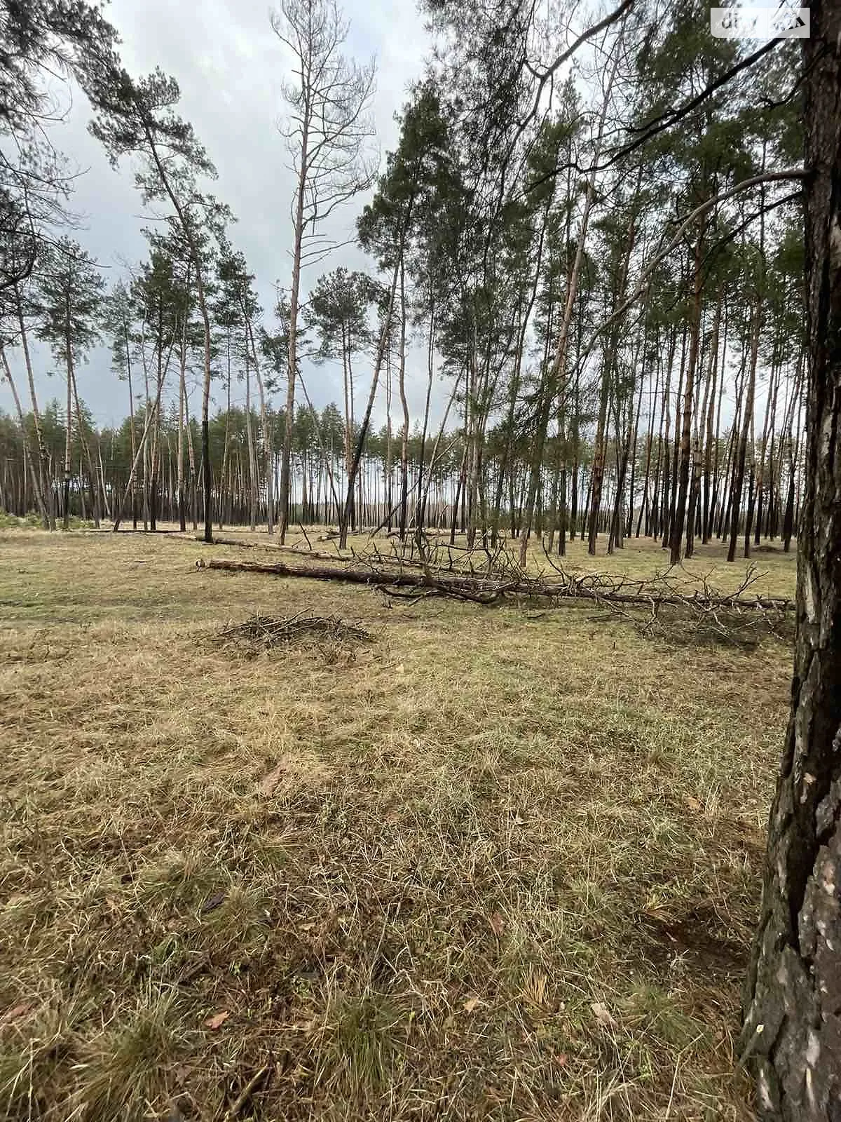 Продается земельный участок 0.3313 соток в Черкасской области - фото 3