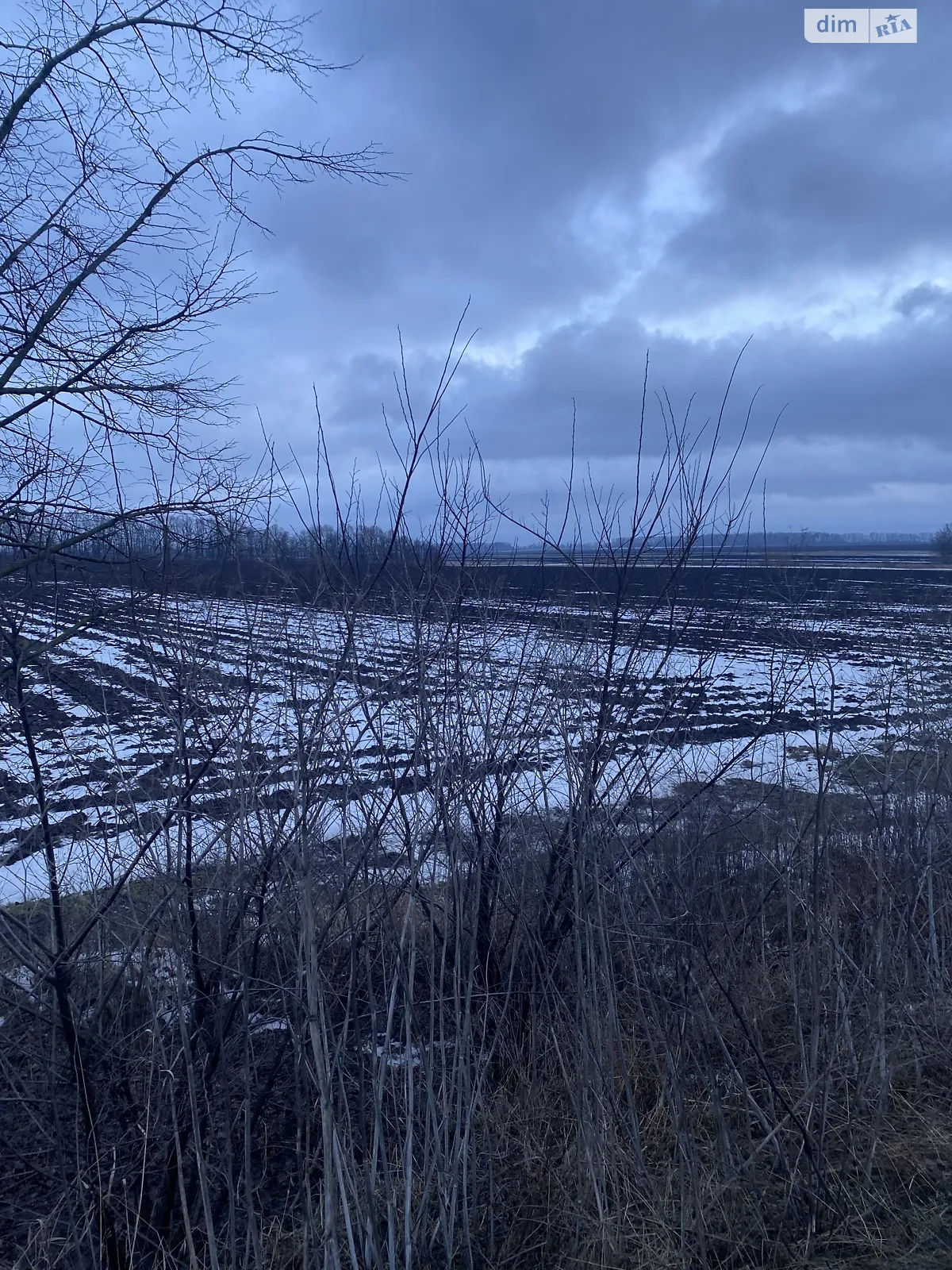 Продается земельный участок 1.3575 соток в Винницкой области - фото 3