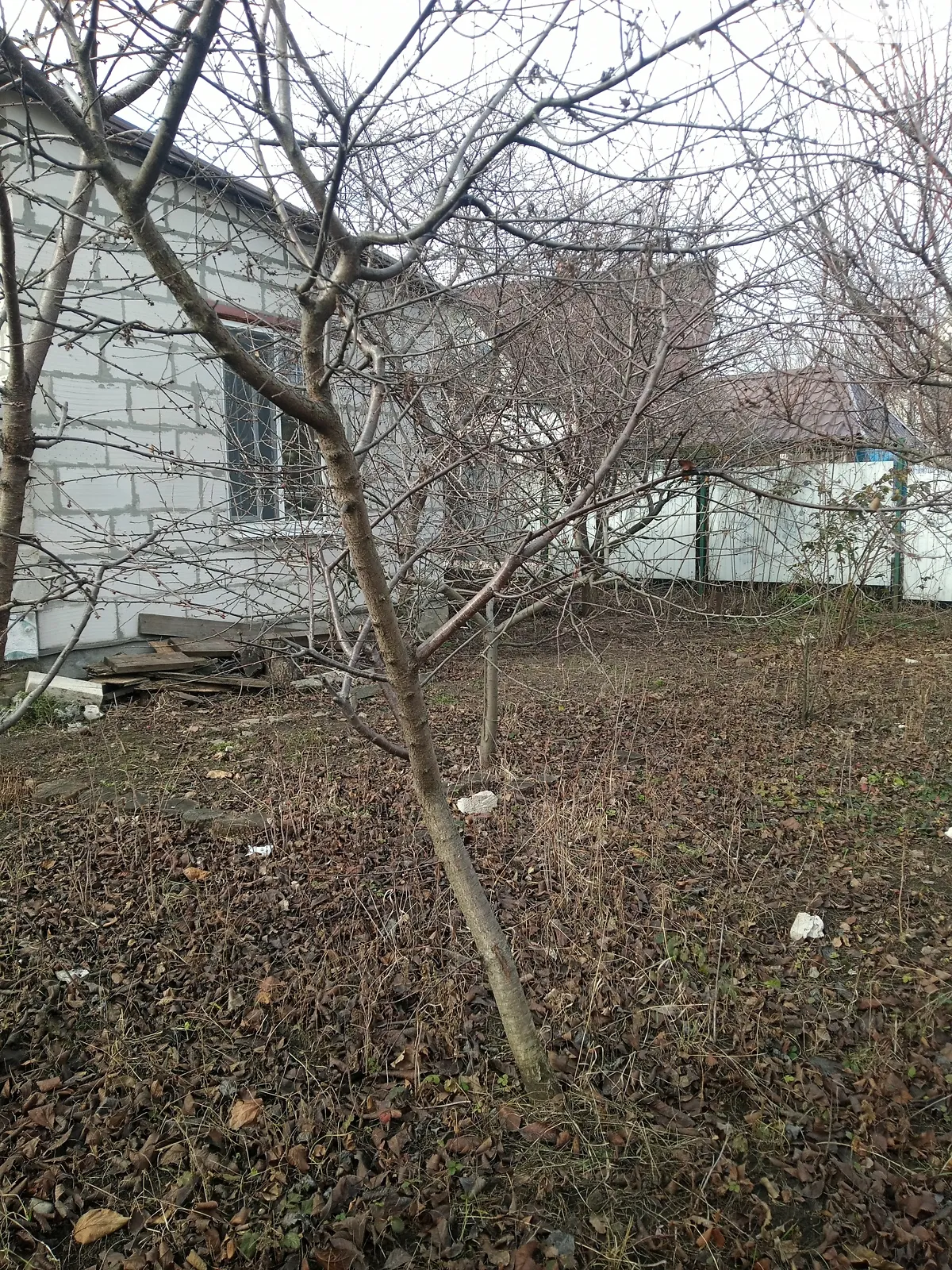Таирова Одесса, цена: 85000 $ - фото 1