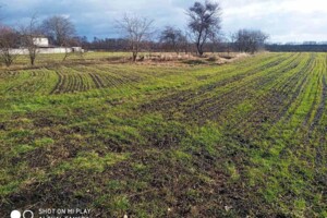 Купить землю под застройку в Киевской области