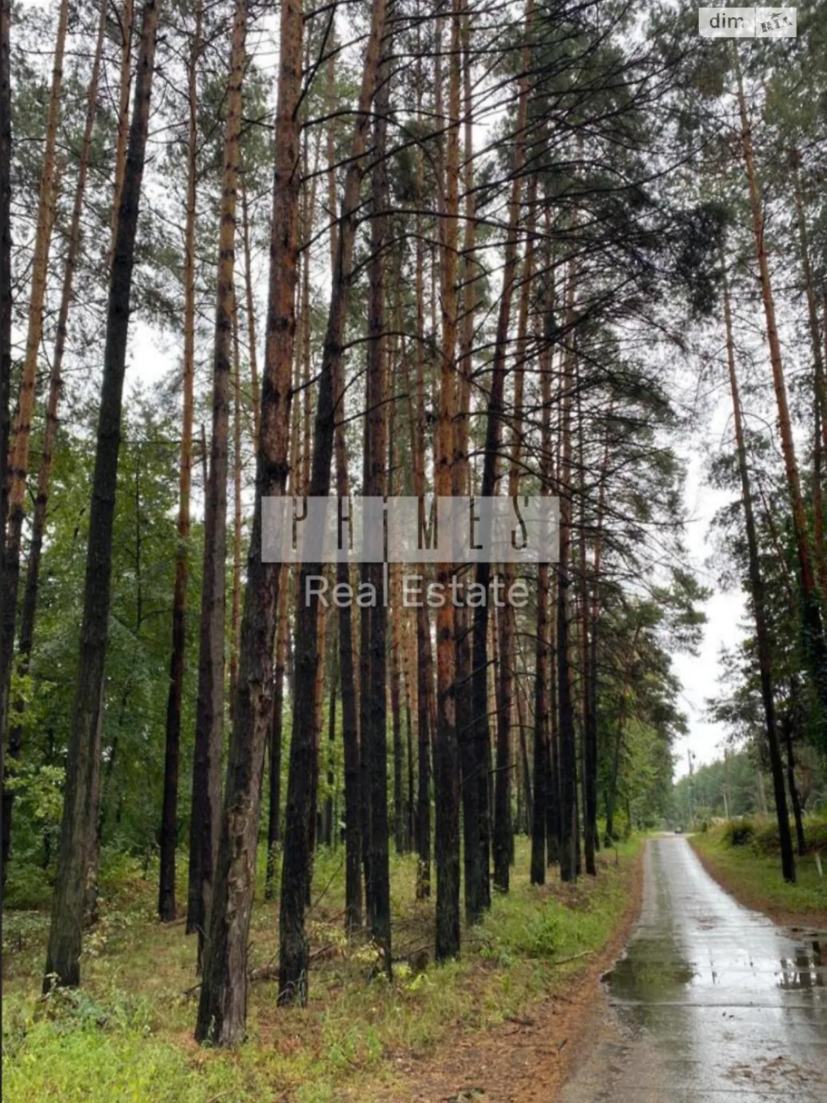 Продается земельный участок 128 соток в Киевской области - фото 3