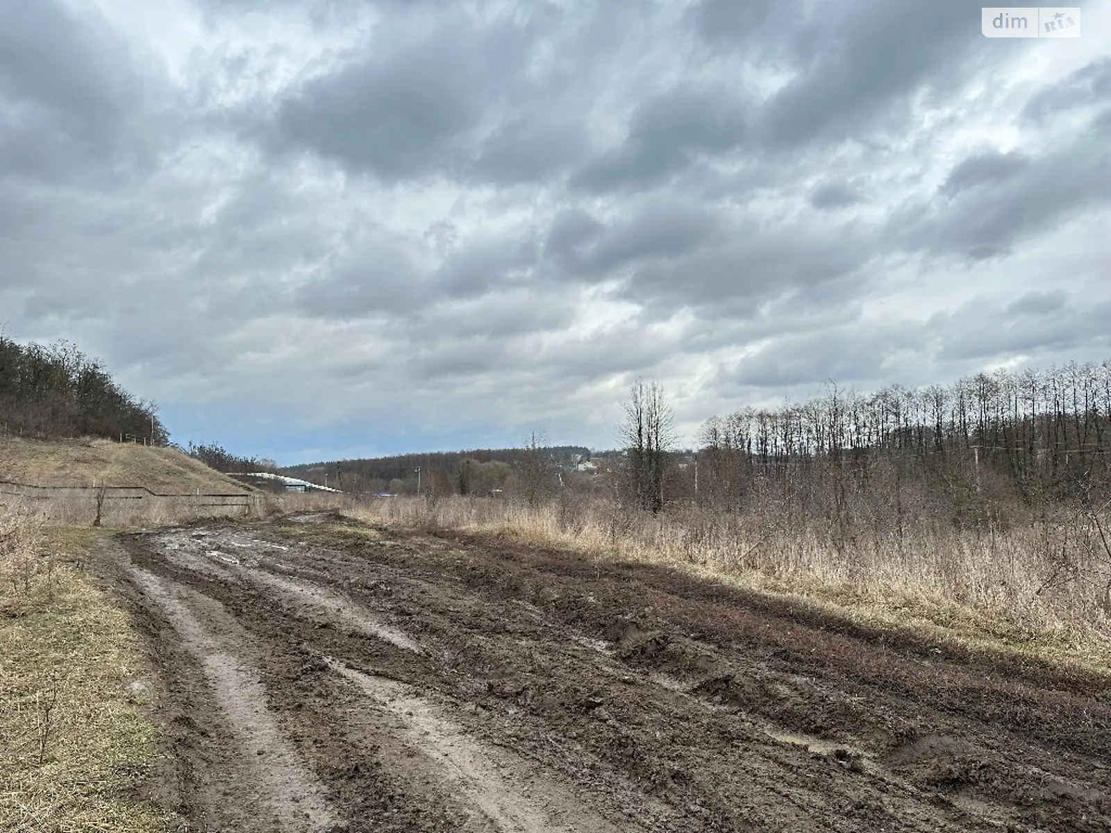 Продається земельна ділянка 17 соток у Вінницькій області - фото 2