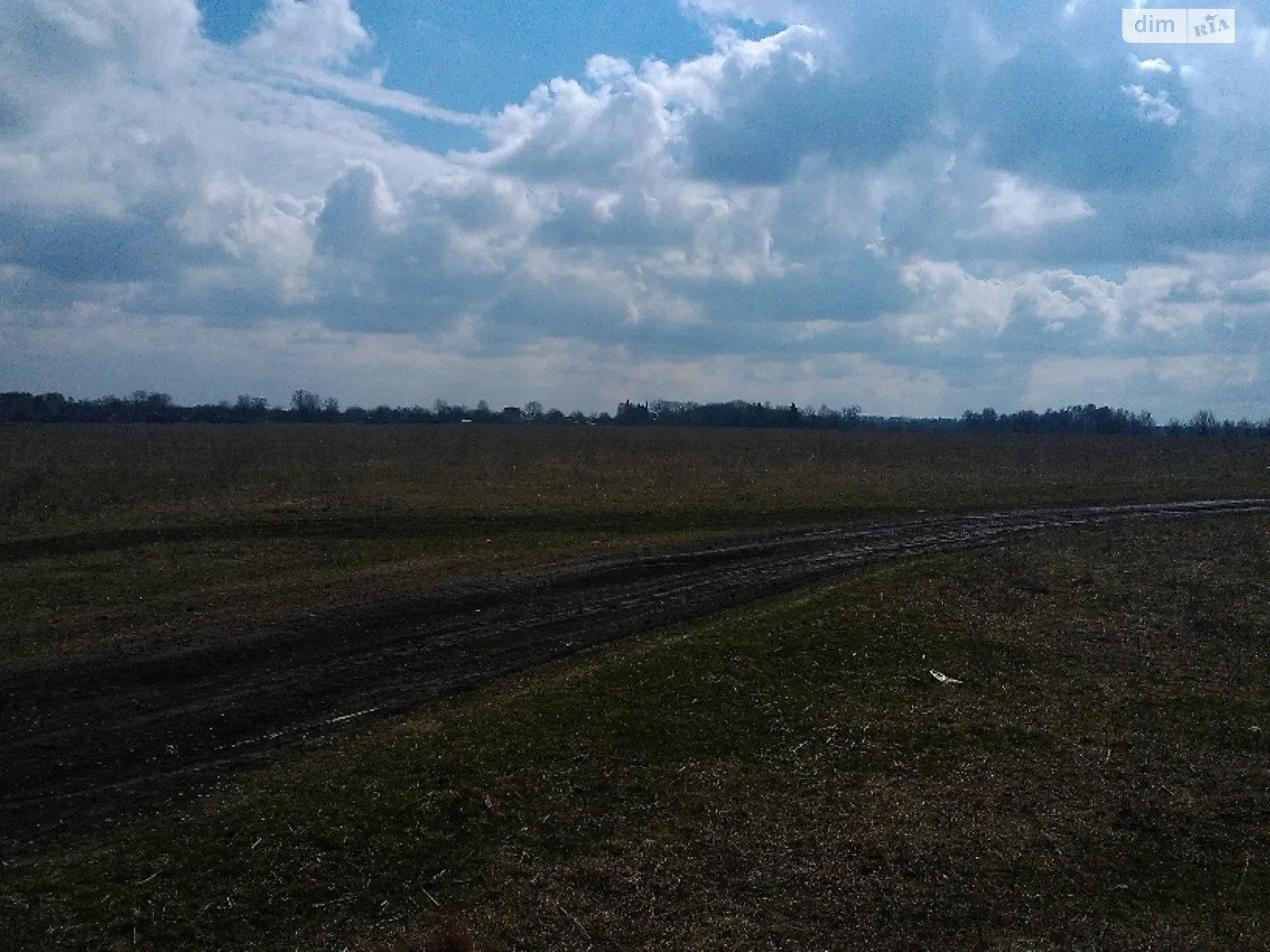 Продается земельный участок 80 соток в Винницкой области - фото 2