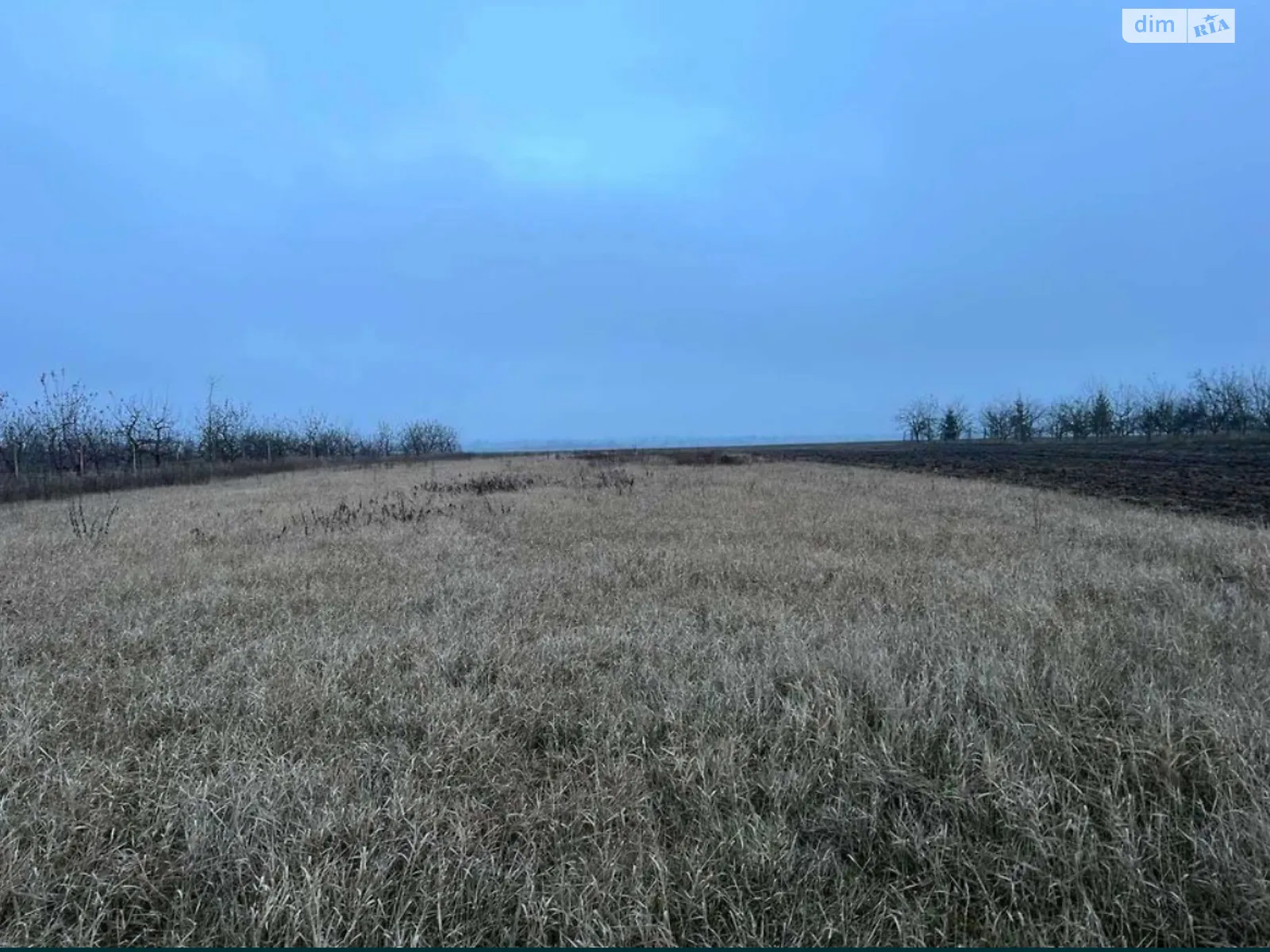 Продается земельный участок 21 соток в Винницкой области - фото 3
