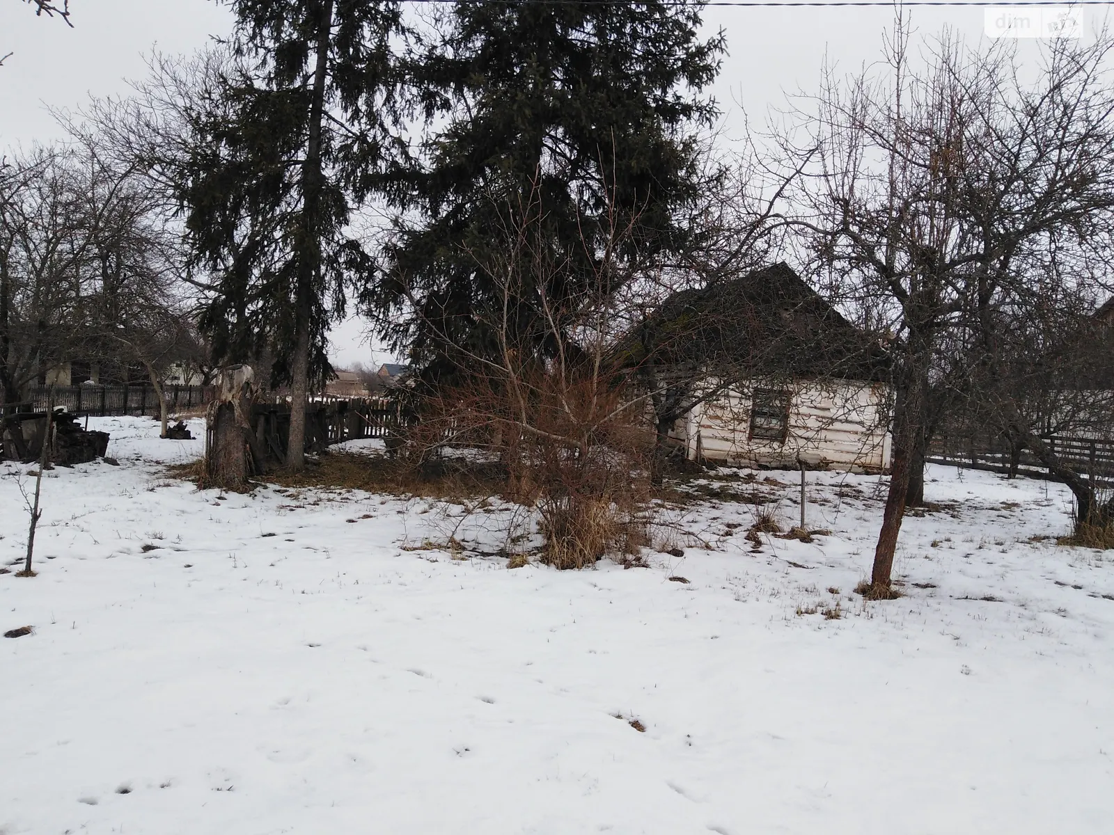 Продается земельный участок 10 соток в Житомирской области, цена: 2500 $ - фото 1