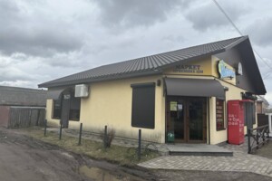 Продажа коммерческого помещения, Черкасская, Русская Поляна, Шевченко улица