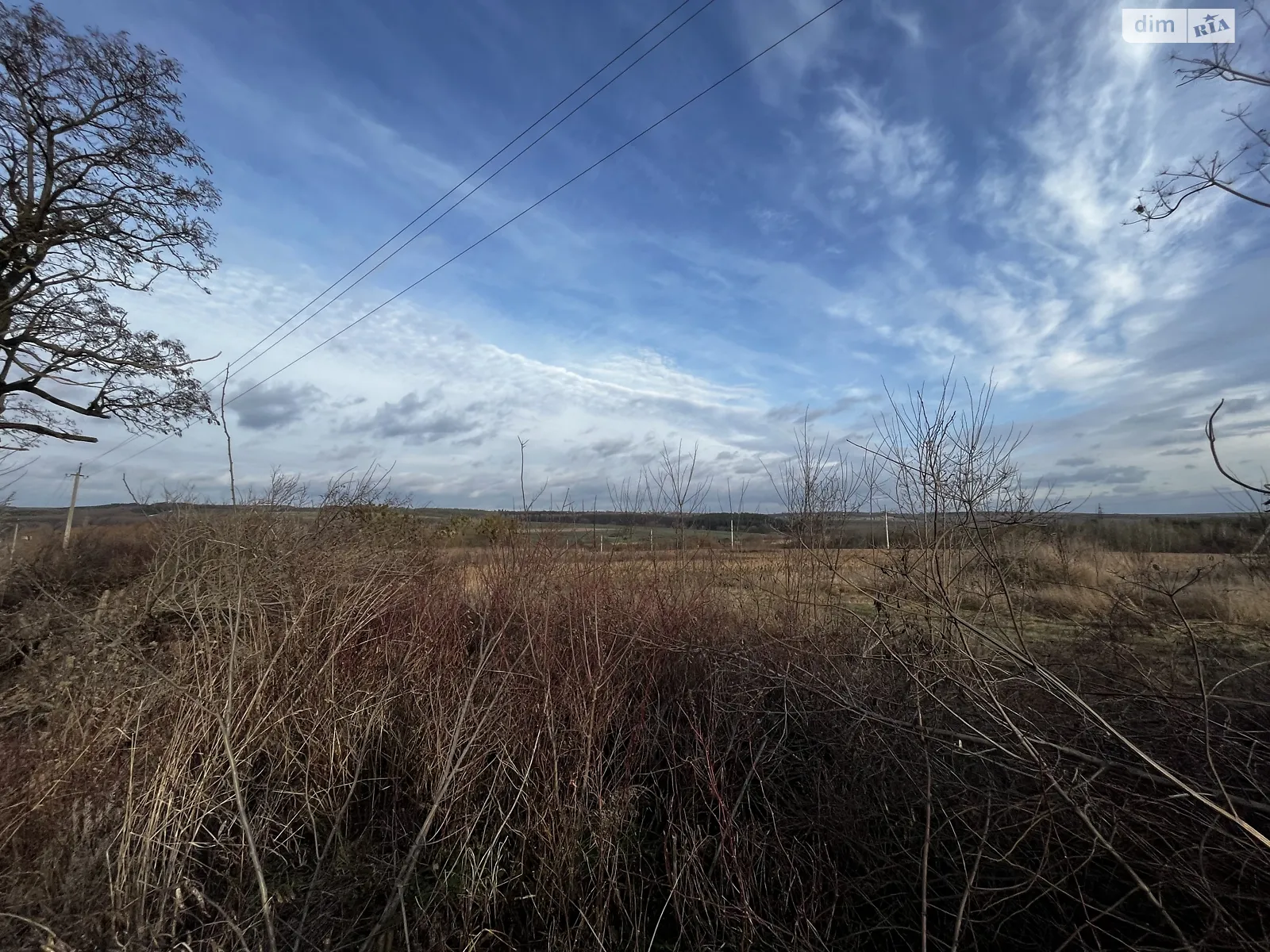 Продается земельный участок 108 соток в Хмельницкой области - фото 4