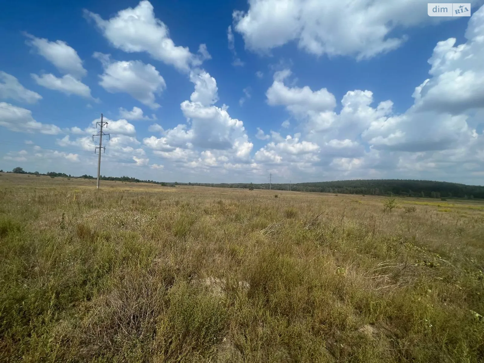 Продается земельный участок 1600 соток в Киевской области - фото 3