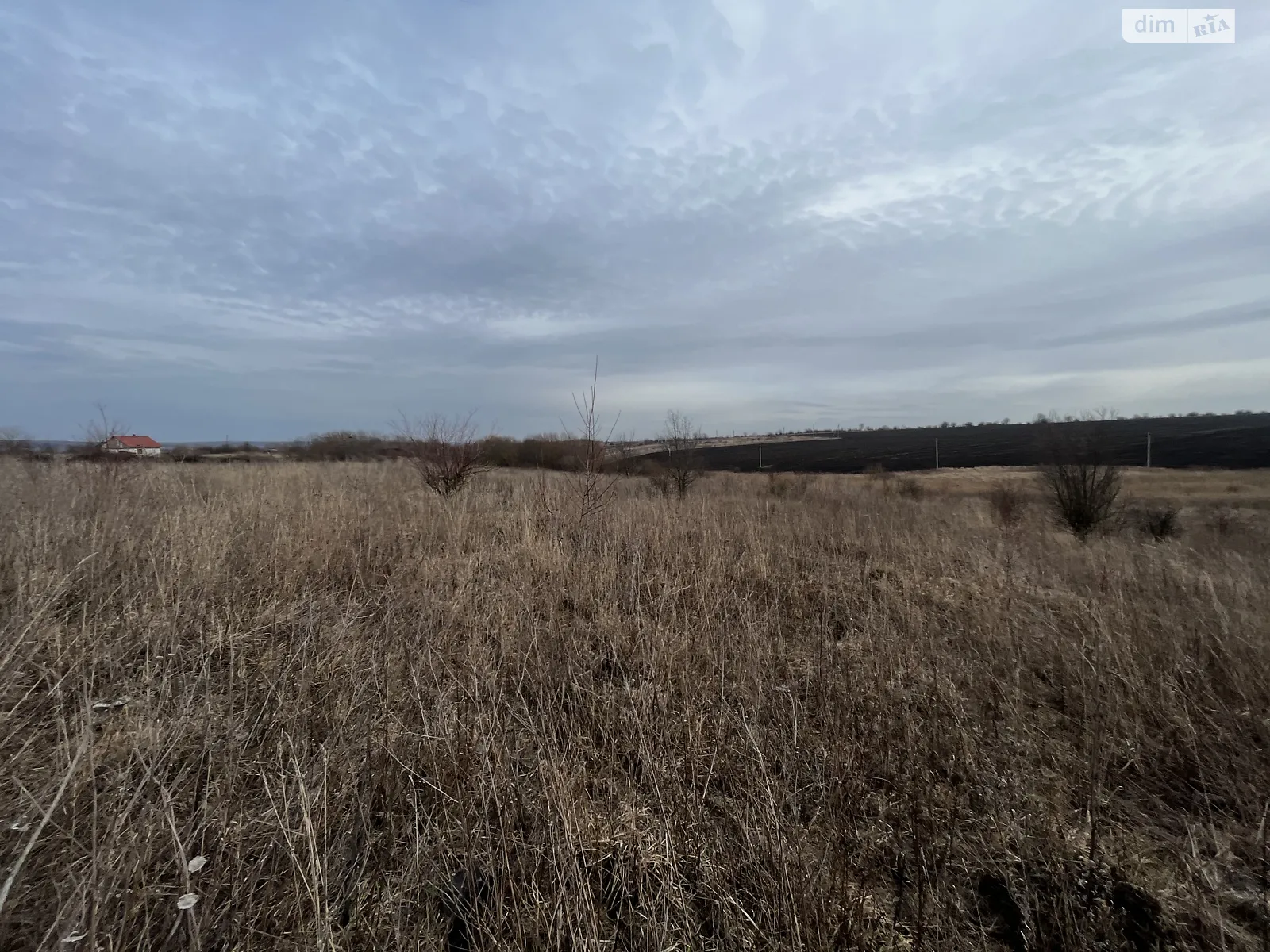 Продается земельный участок 68.39 соток в Хмельницкой области - фото 4