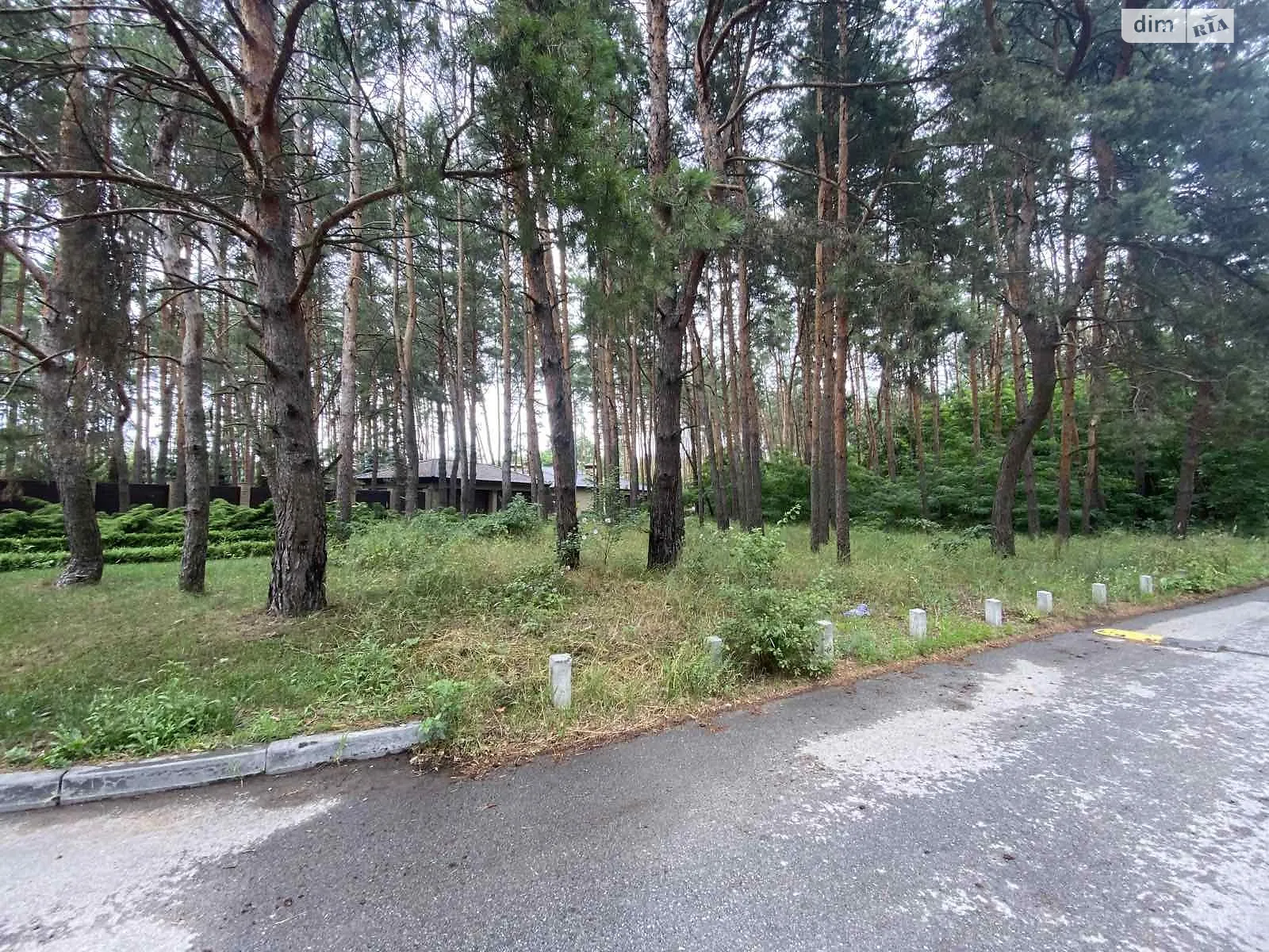 Продается земельный участок 25 соток в Днепропетровской области - фото 4
