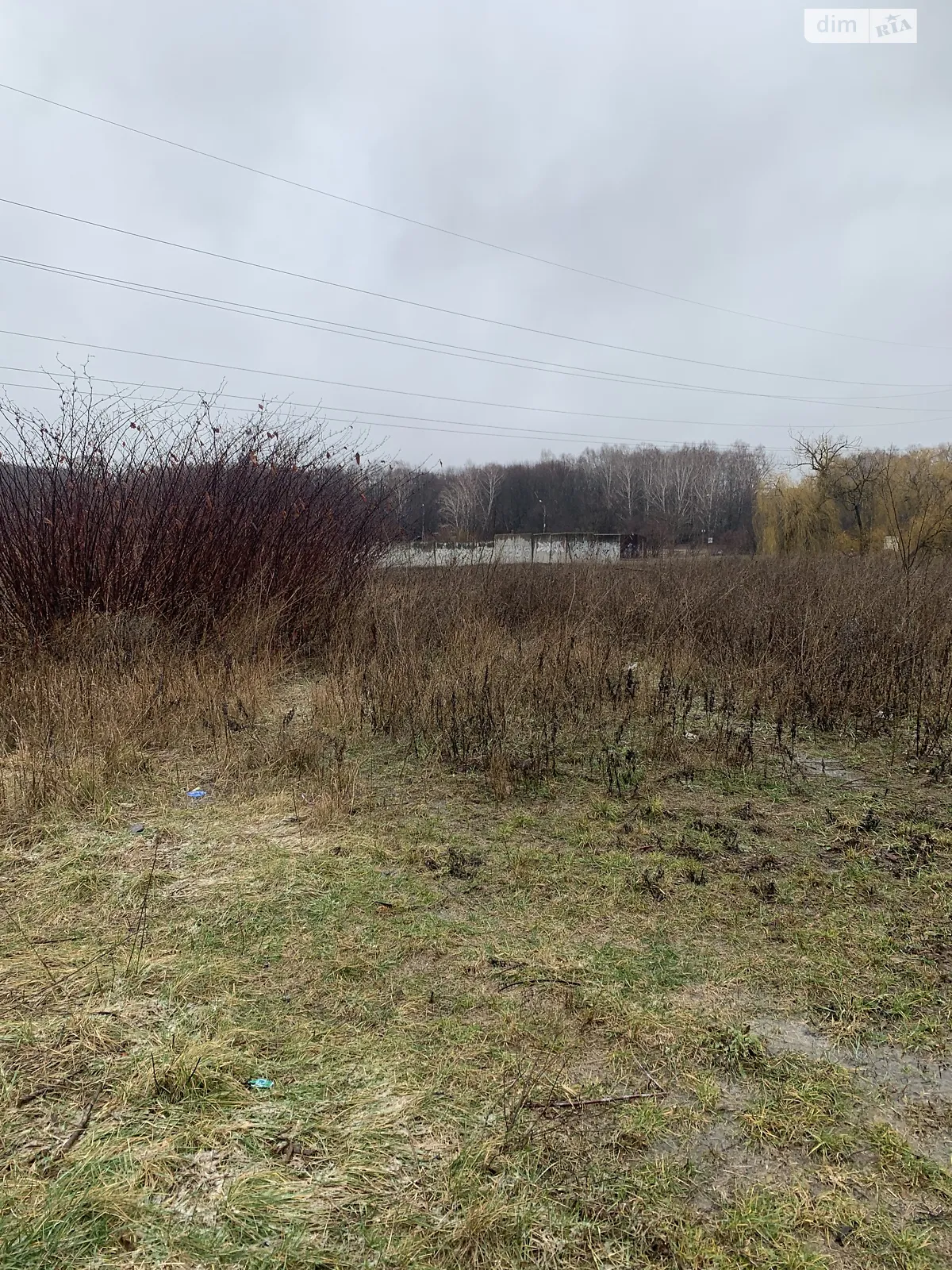 Продається земельна ділянка 60 соток у Вінницькій області - фото 2