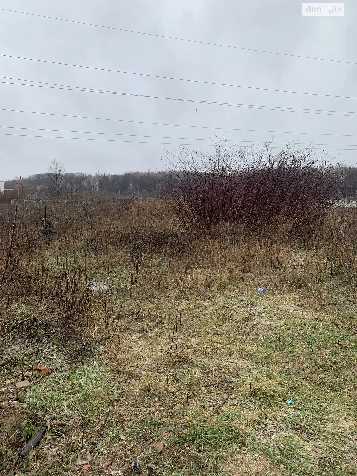 Продается земельный участок 60 соток в Винницкой области - фото 3