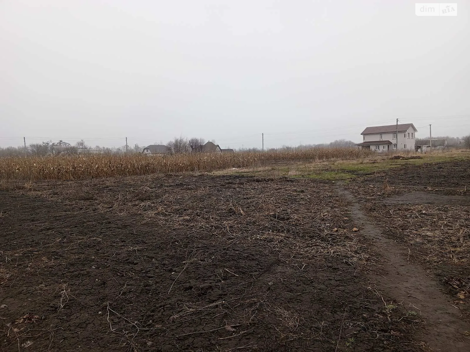 Продается земельный участок 72 соток в Черкасской области - фото 3