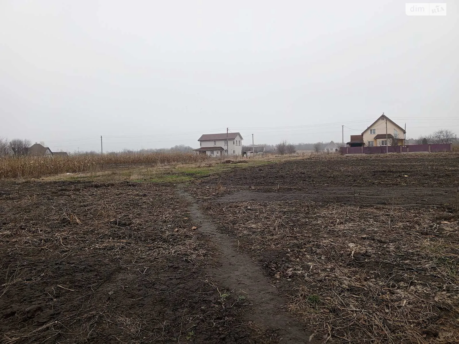 Продается земельный участок 72 соток в Черкасской области - фото 4