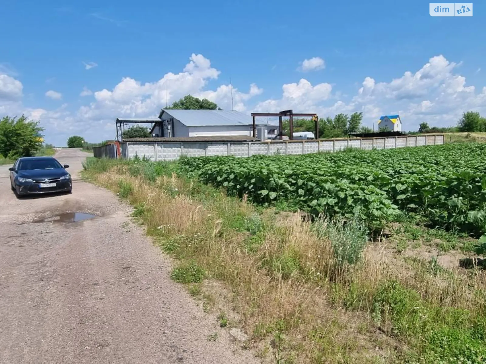 Продається земельна ділянка 200 соток у Київській області, цена: 132000 $