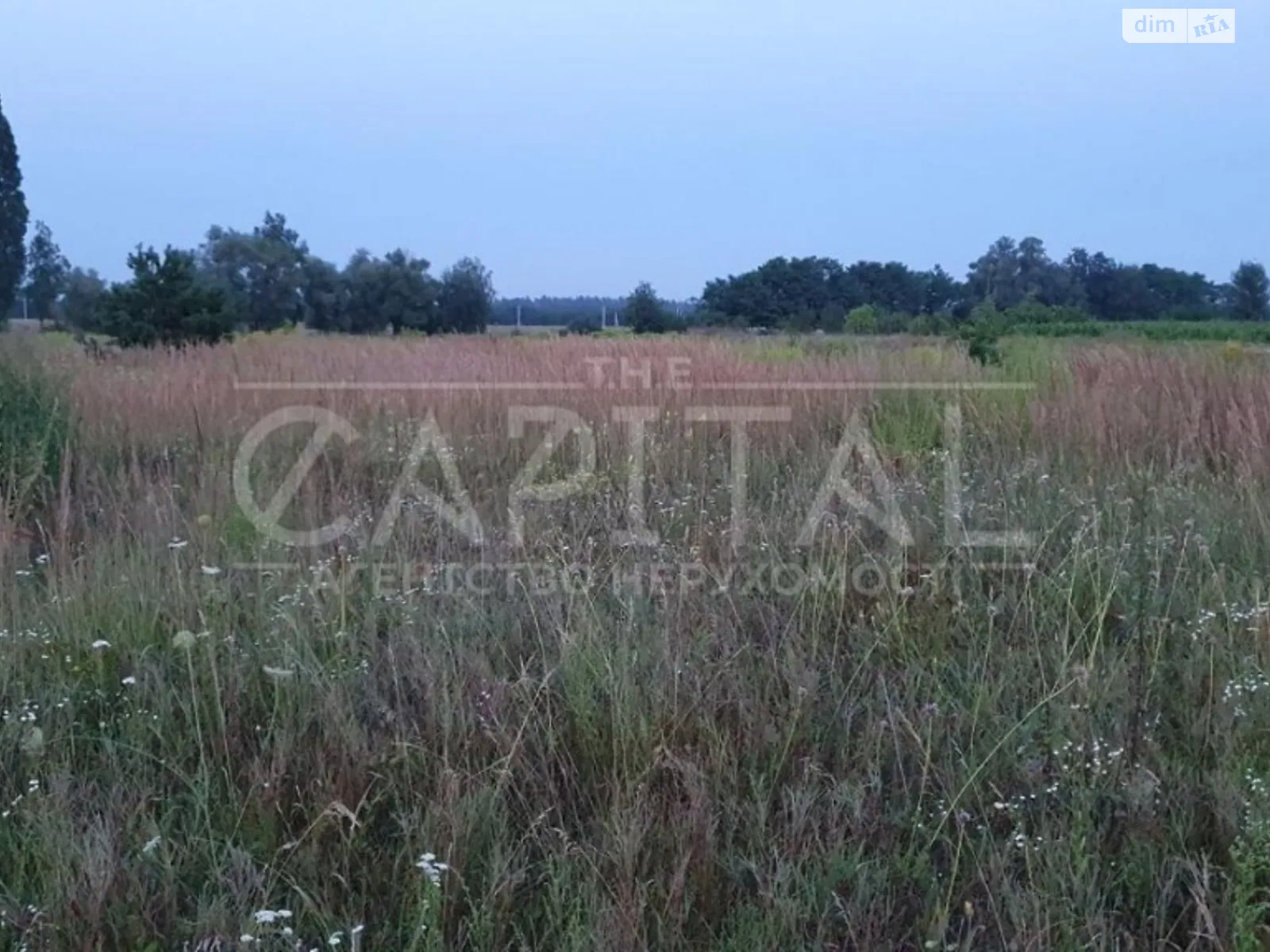 Продается земельный участок 23 соток в Киевской области, цена: 29000 $ - фото 1