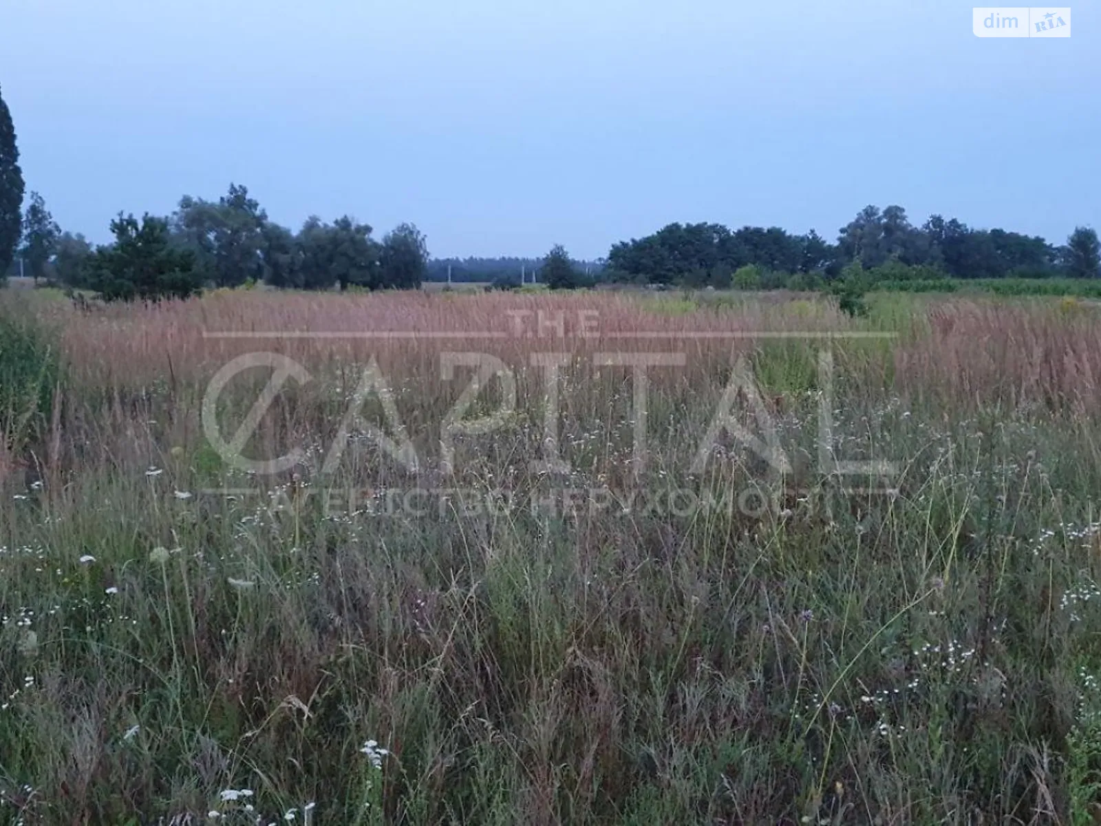 Продается земельный участок 23 соток в Киевской области - фото 3