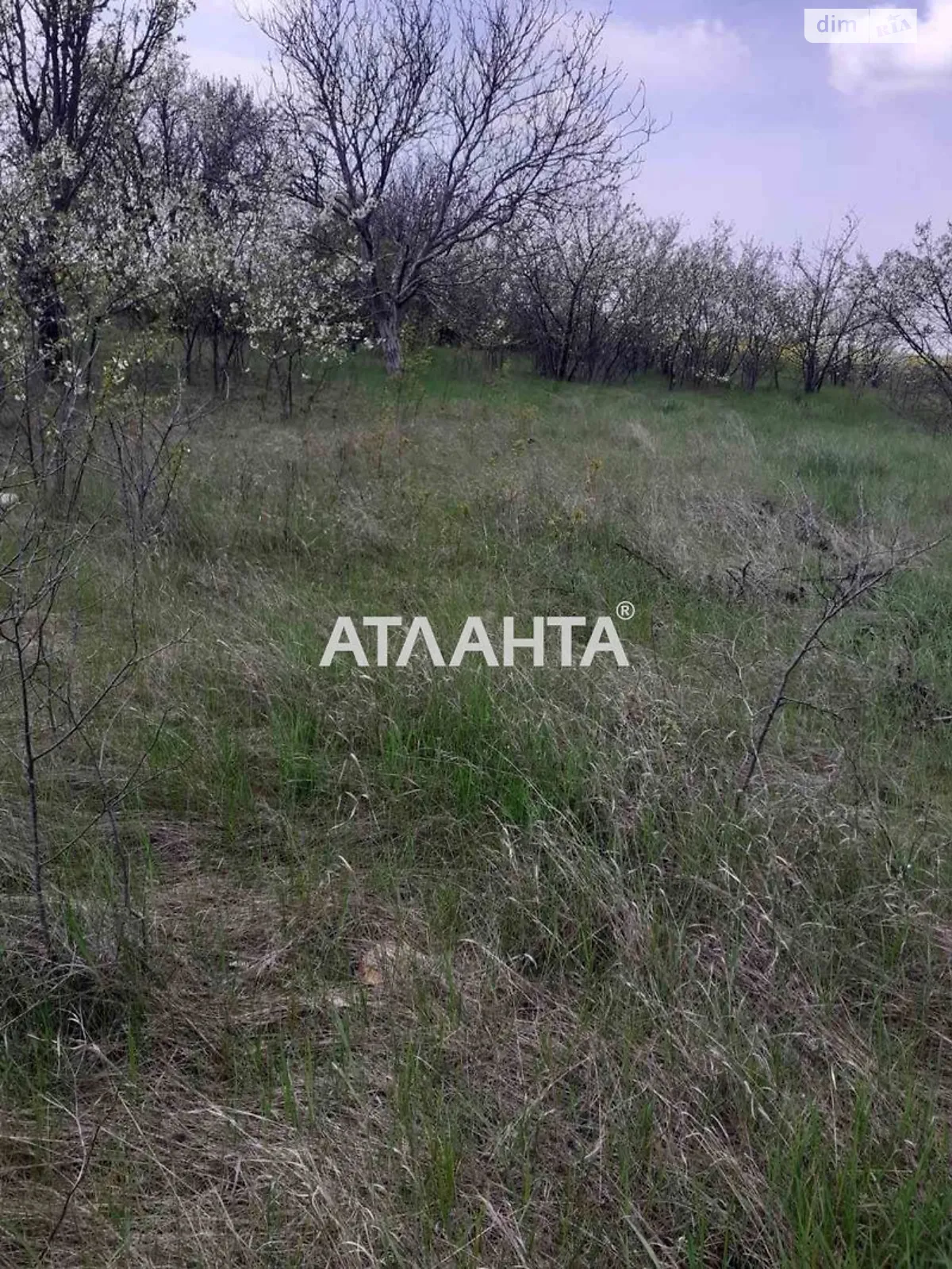 Продається земельна ділянка 12 соток у Одеській області - фото 4