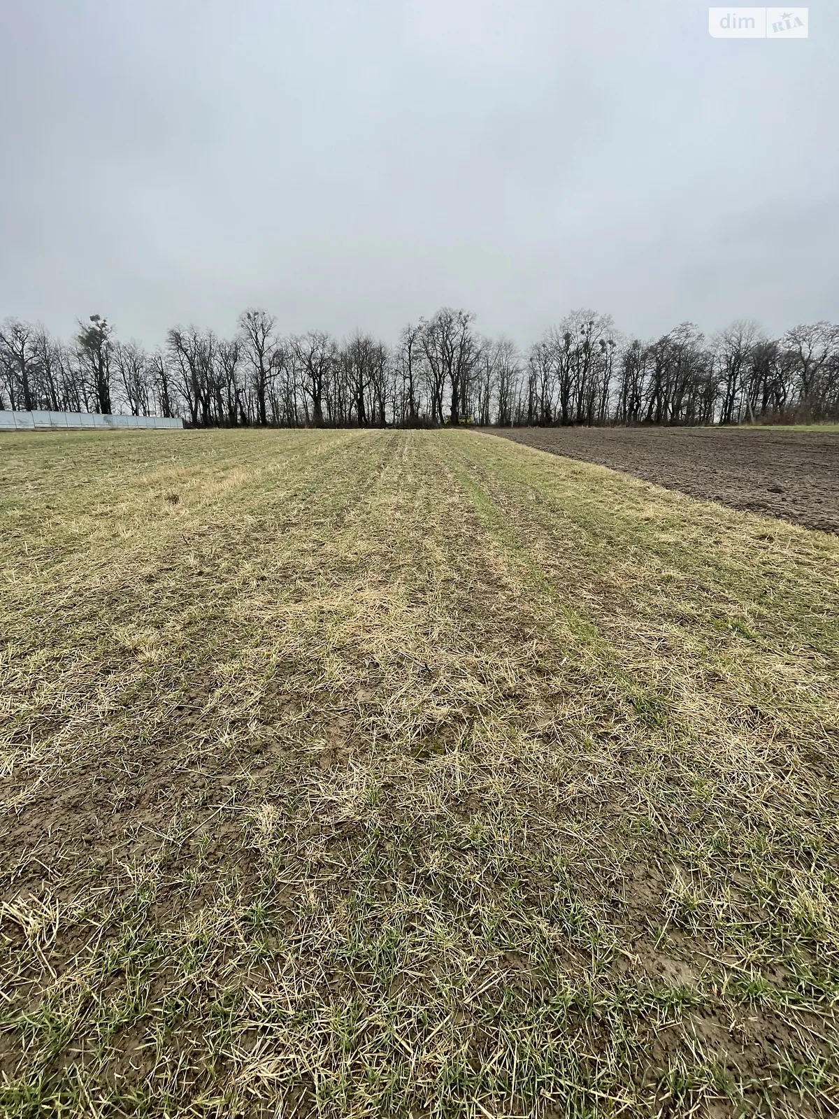 Продается земельный участок 22 соток в Винницкой области - фото 3