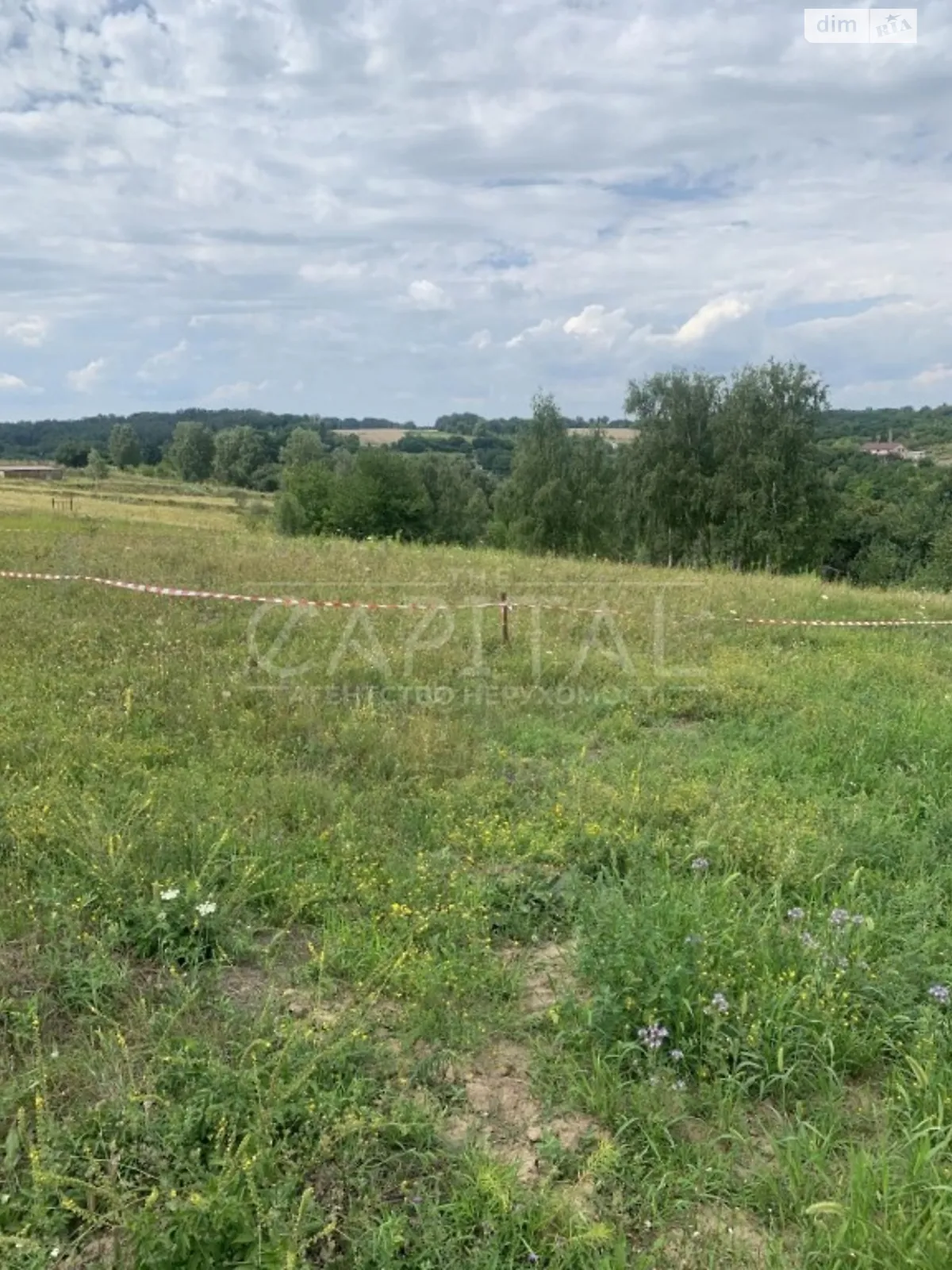 Продается земельный участок 80 соток в Киевской области - фото 2